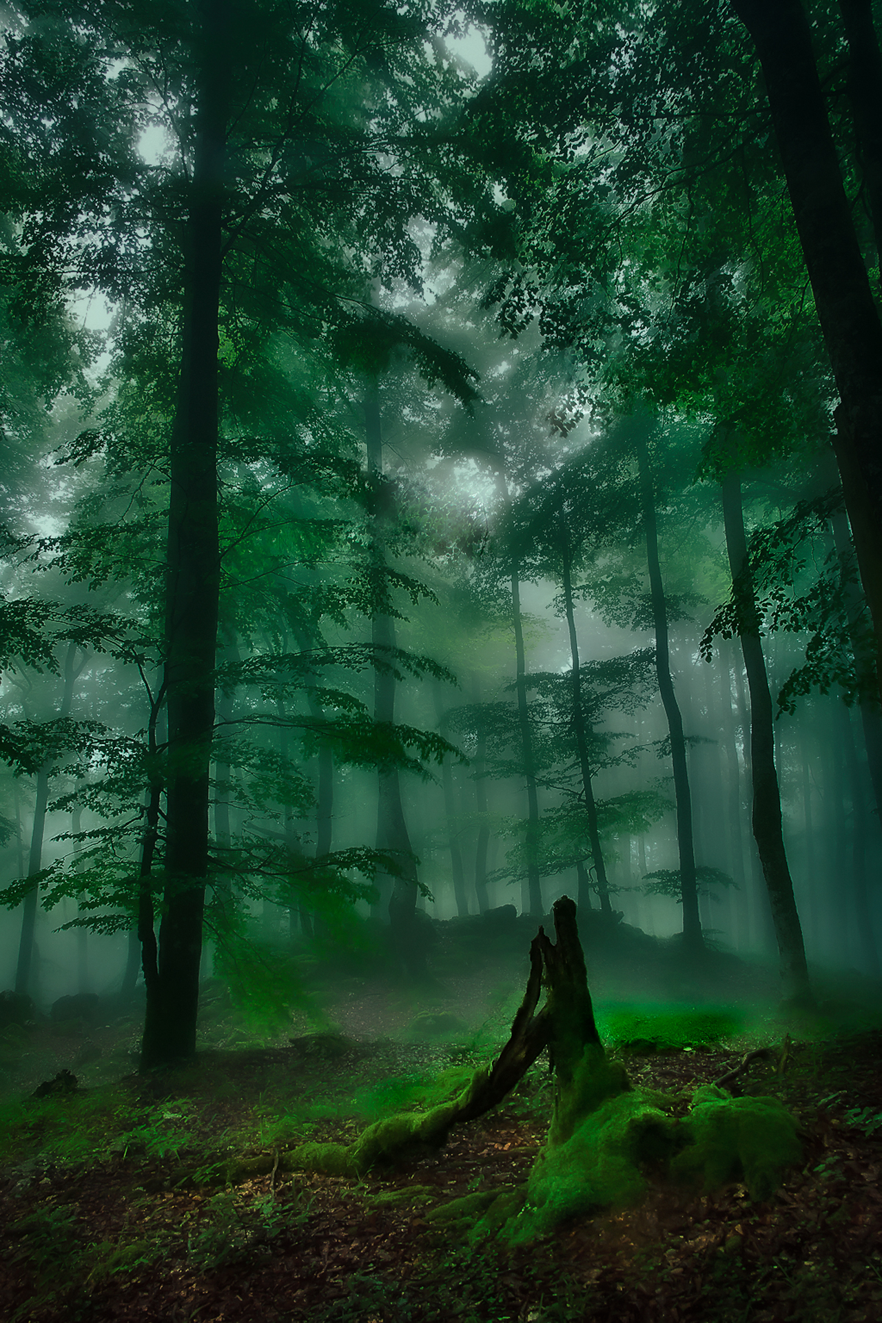 , Antonio Cantabrana