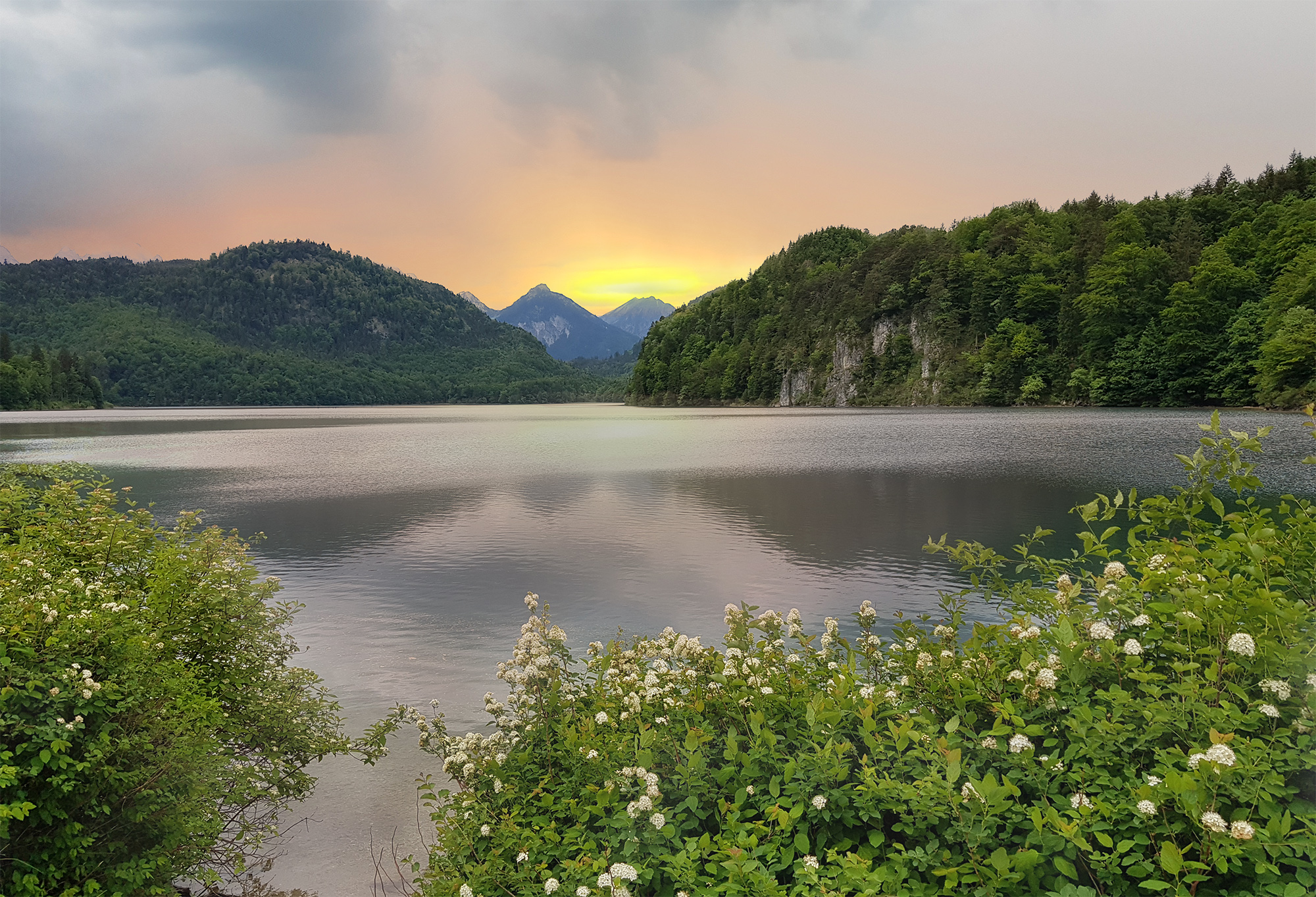 , Игорь Дубровский