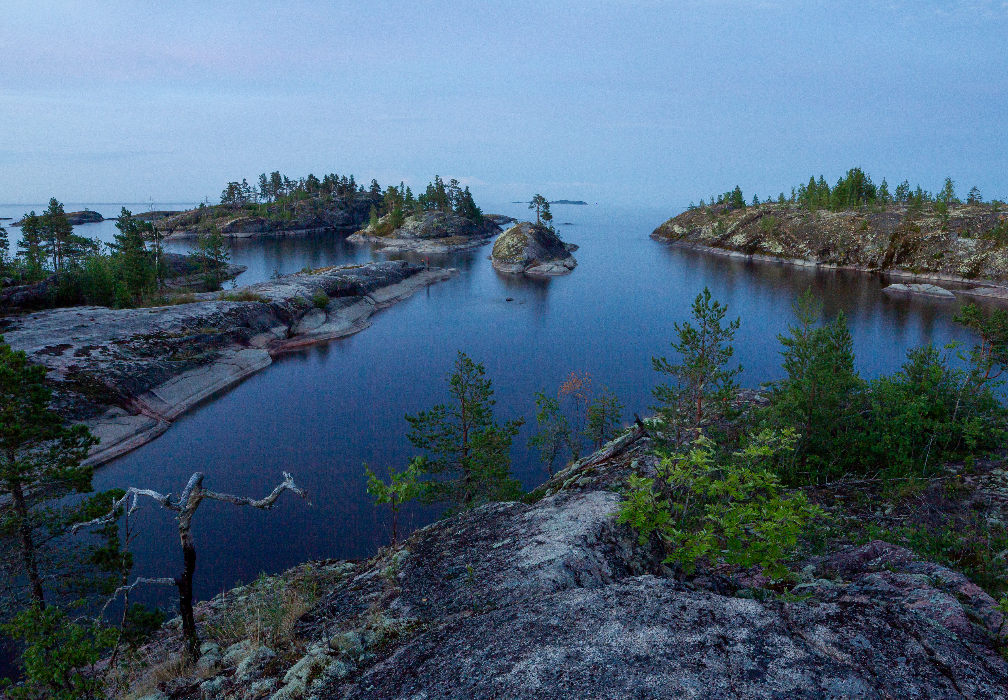 , Комарова Вера