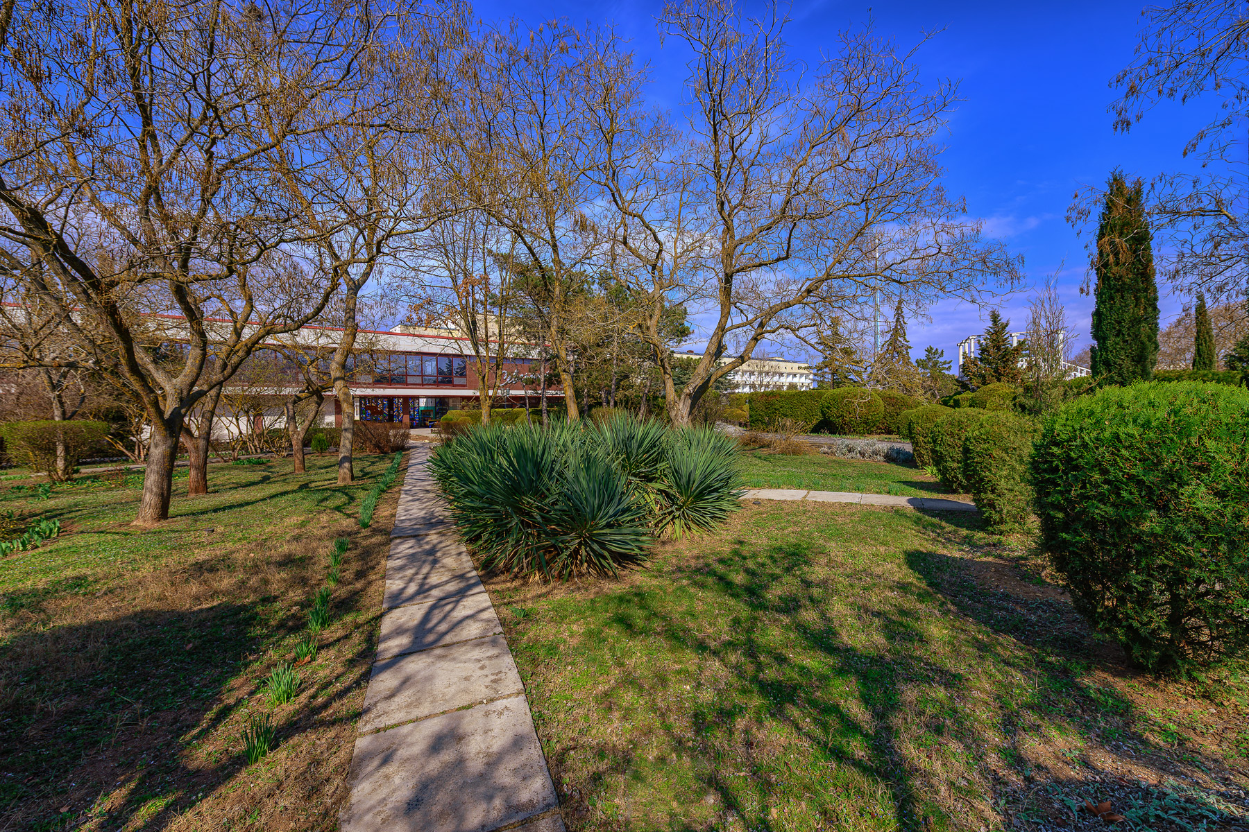 , Владимир Гамаюнов