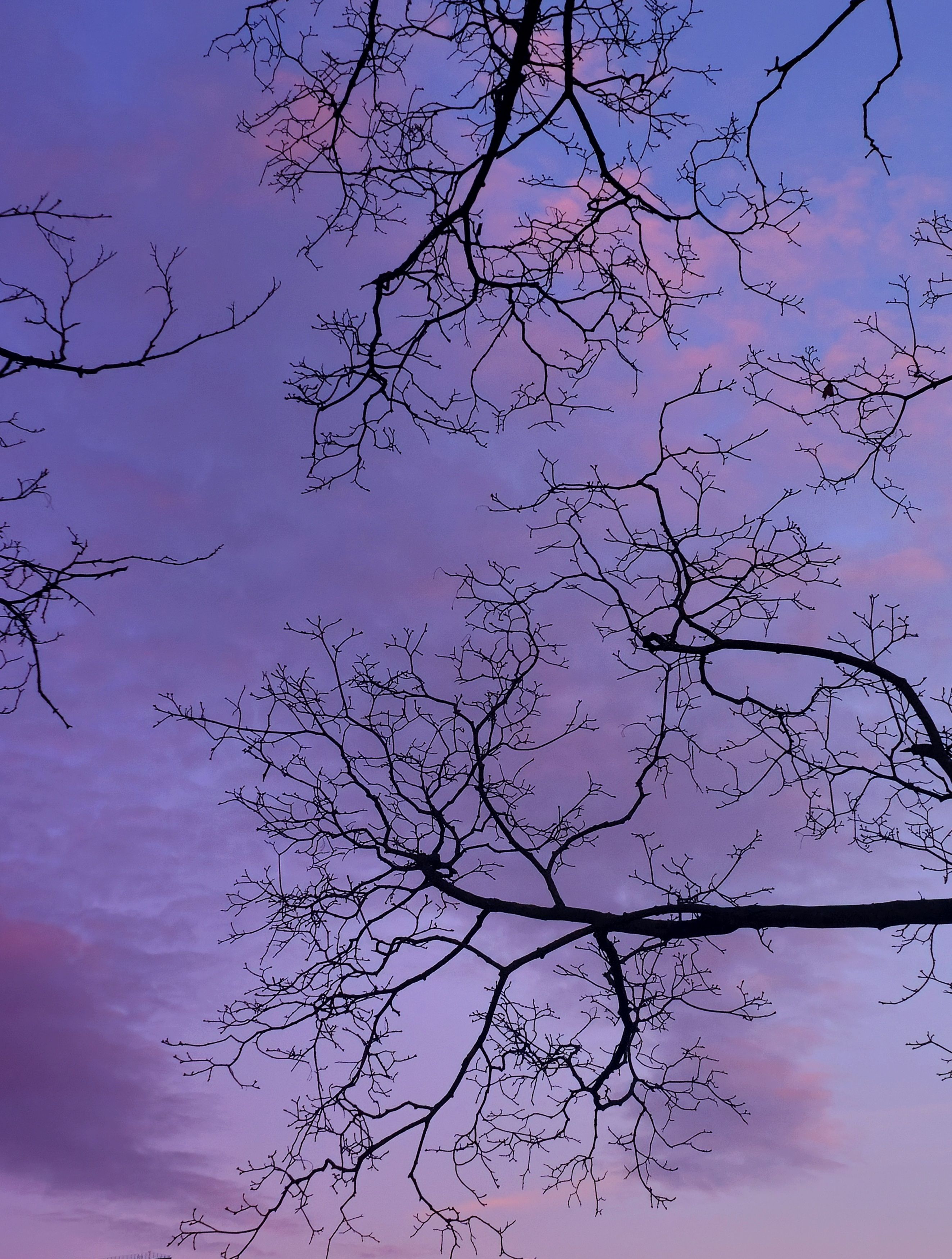 , Мария Яковлева