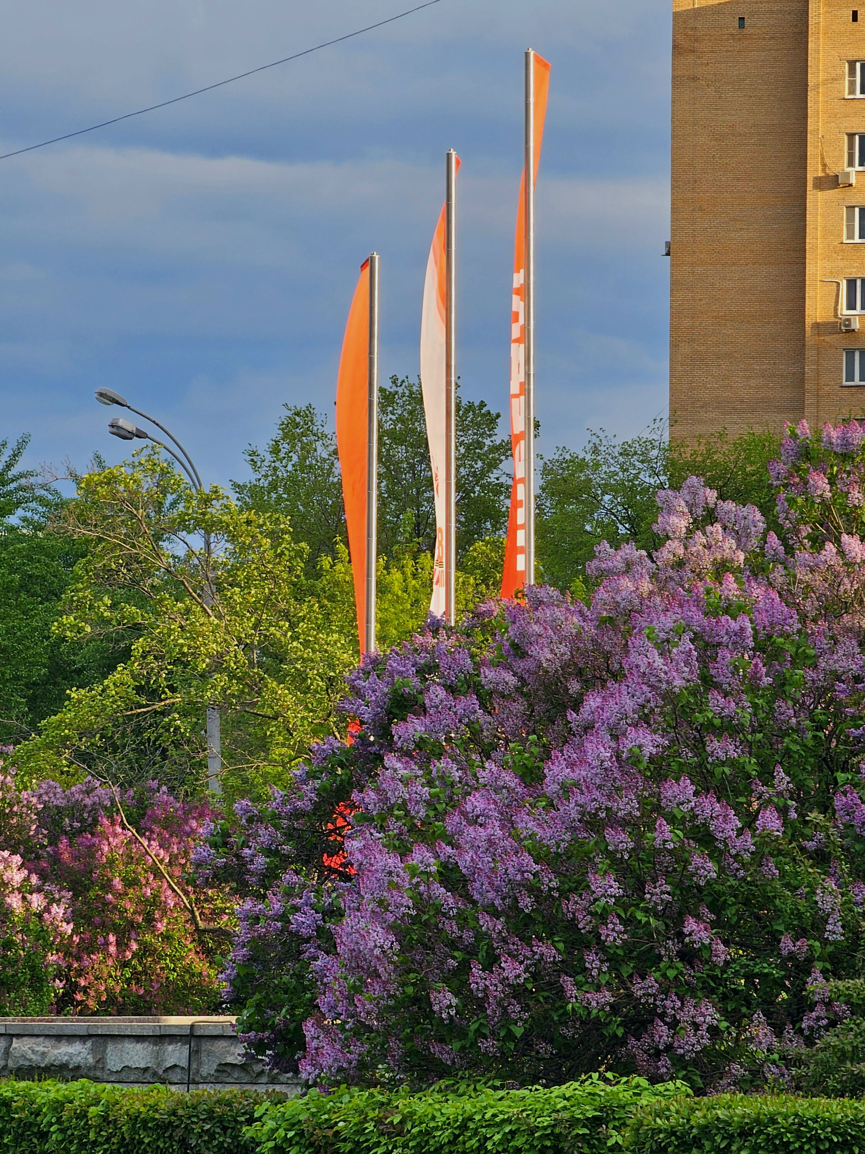 , Мария Яковлева