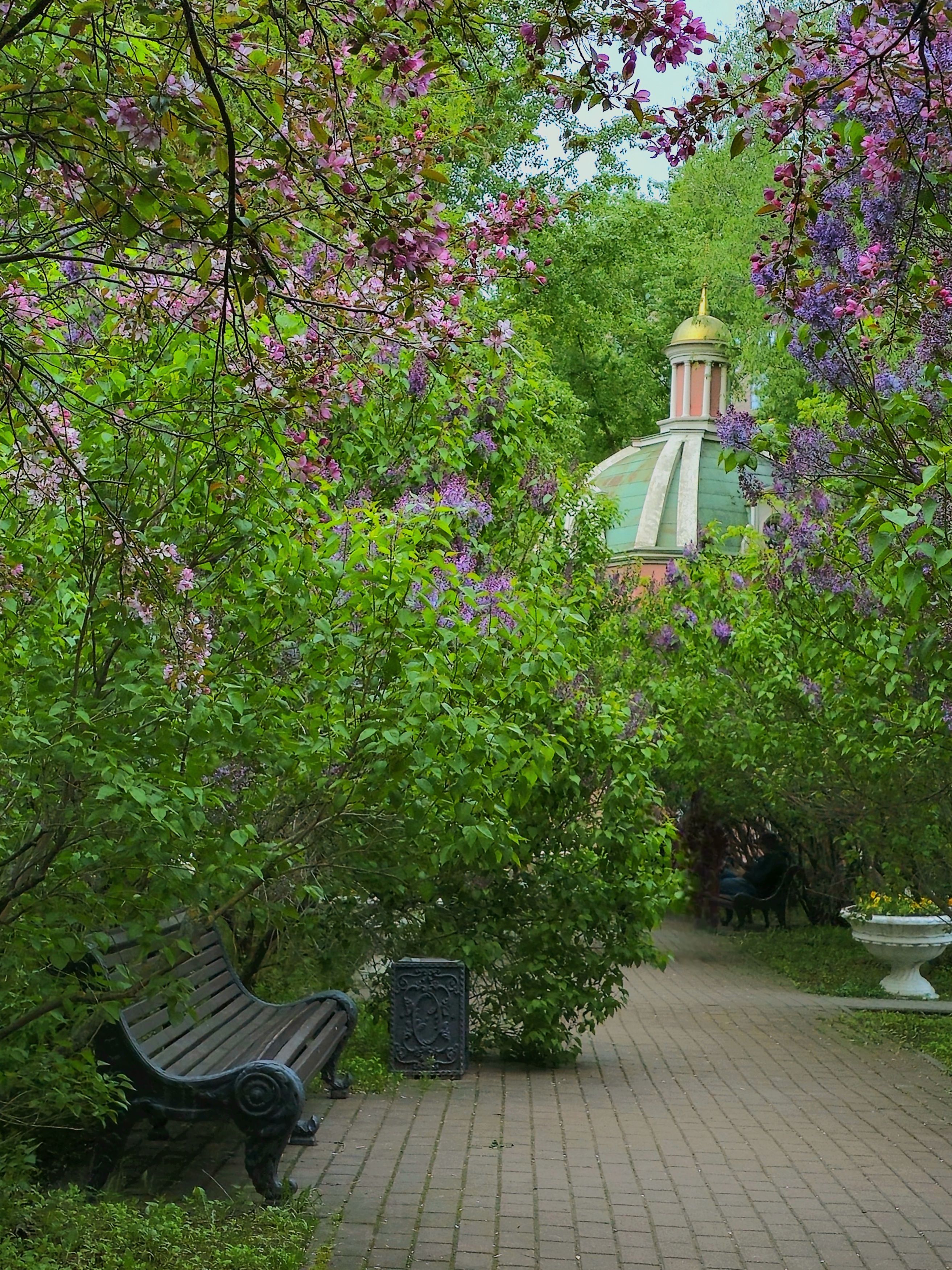 , Мария Яковлева