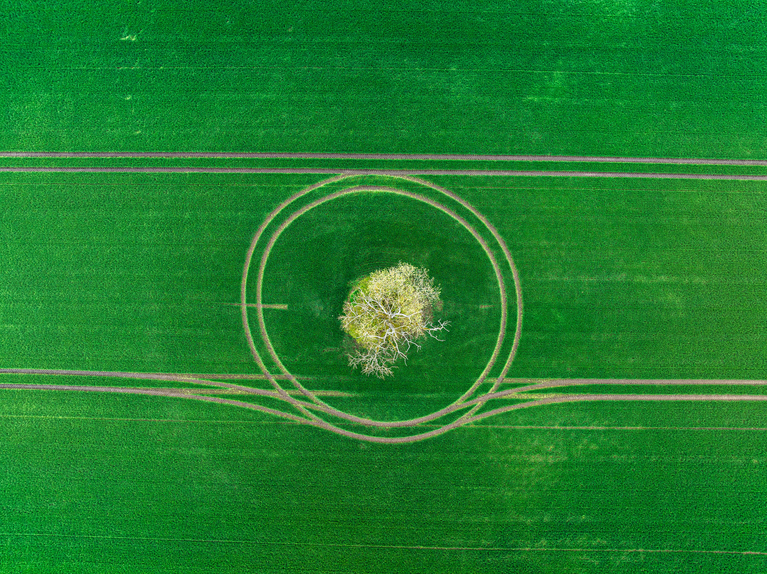 , Гордон Николай