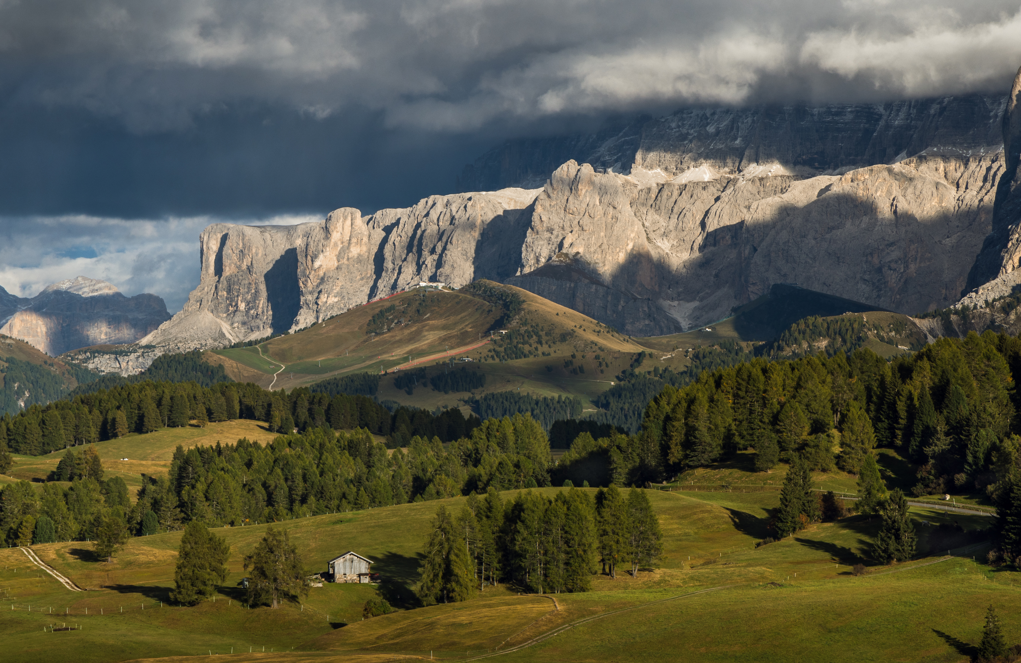 , Алекс Римский