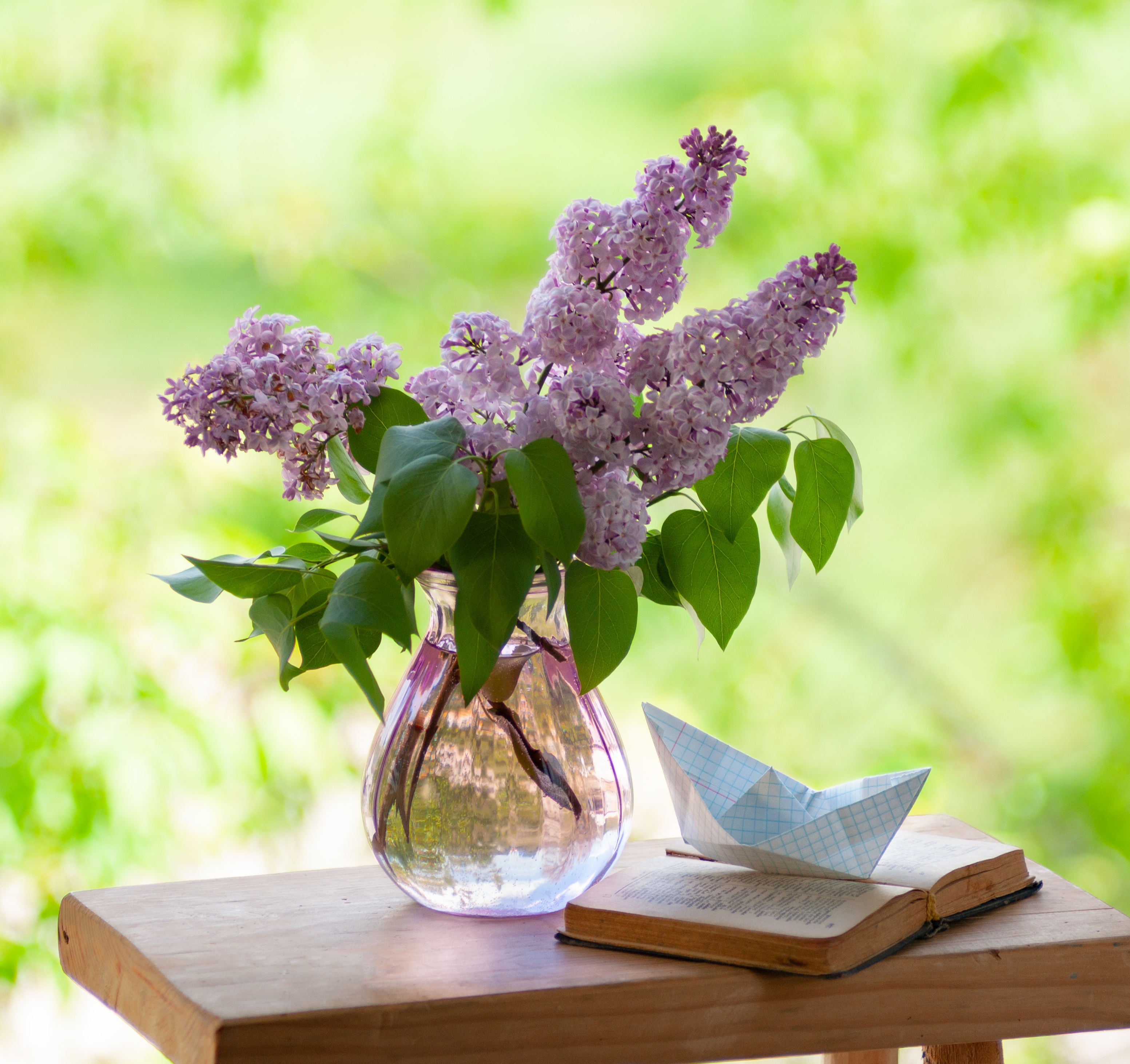 , Павлюк Елена