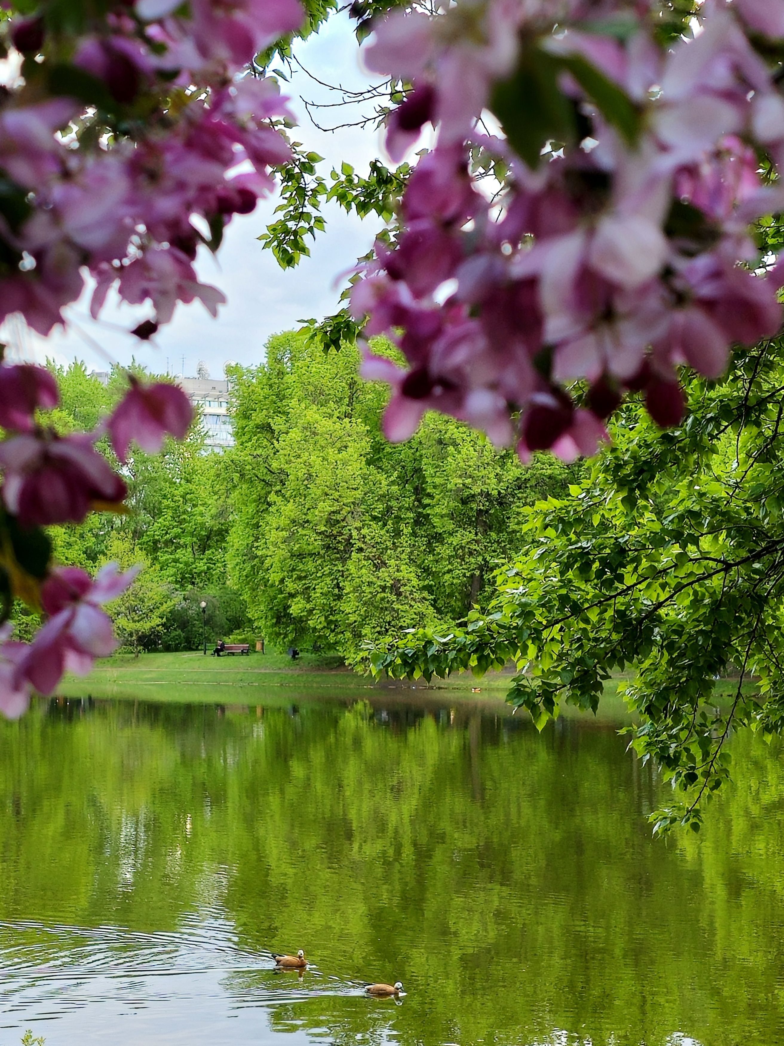 , Мария Яковлева
