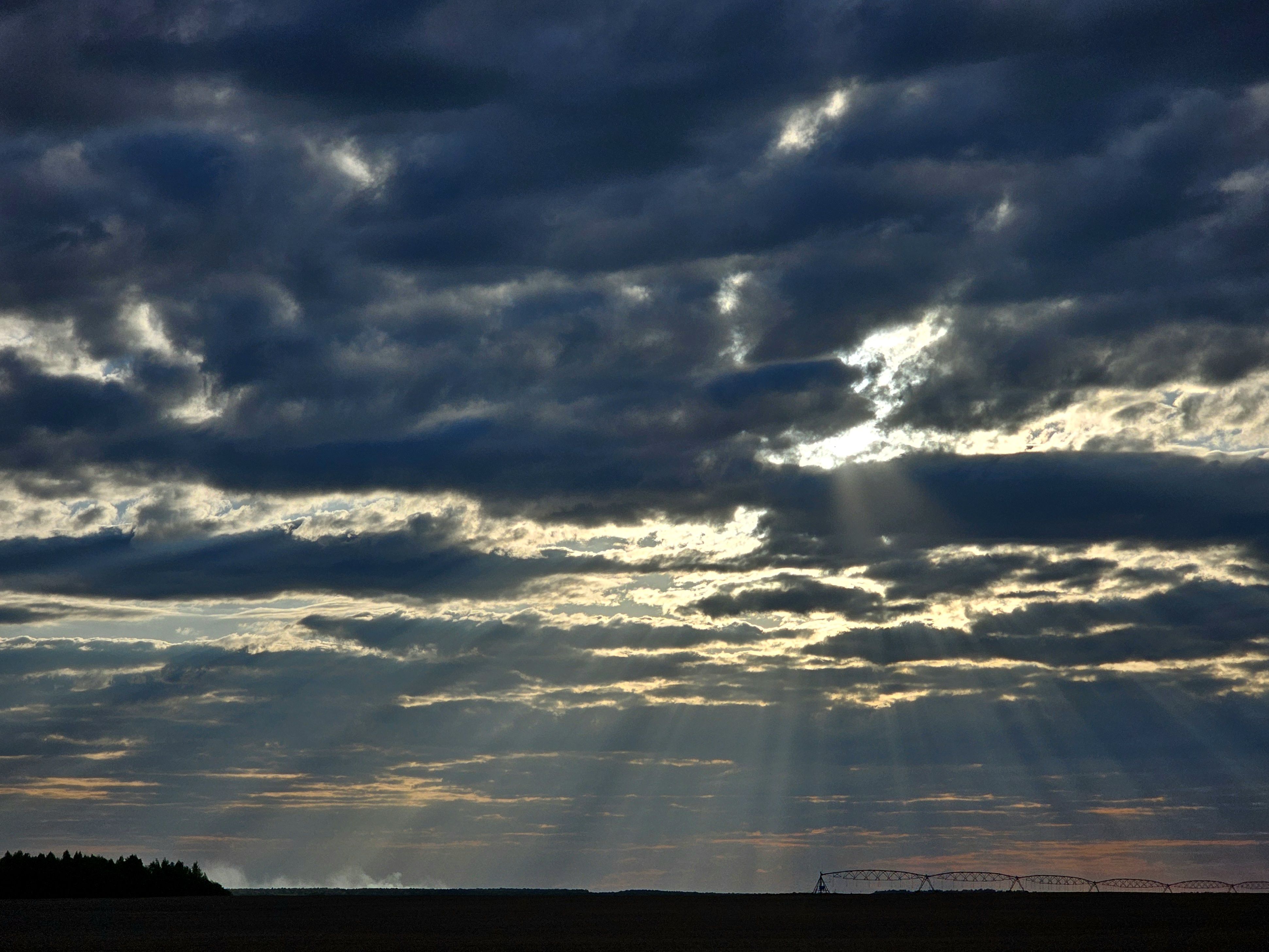 , Мария Яковлева