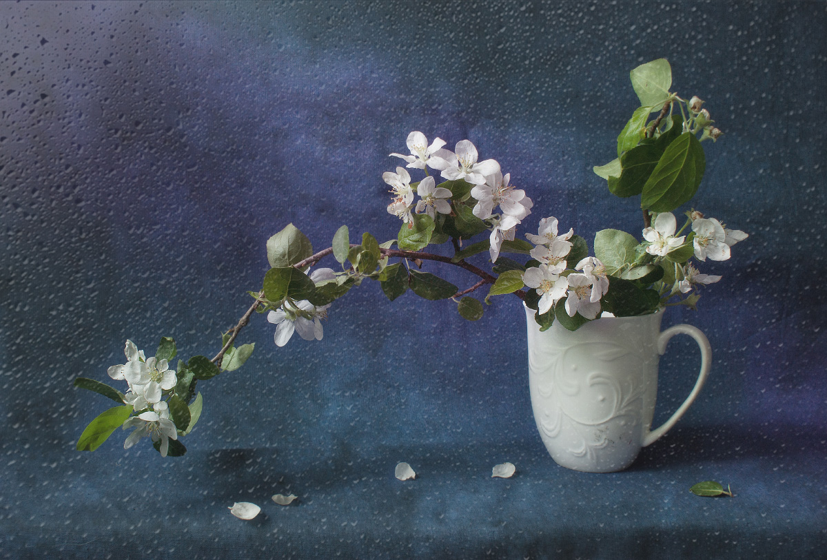 весна, дождик, яблоня, басё, Елена Колеснева