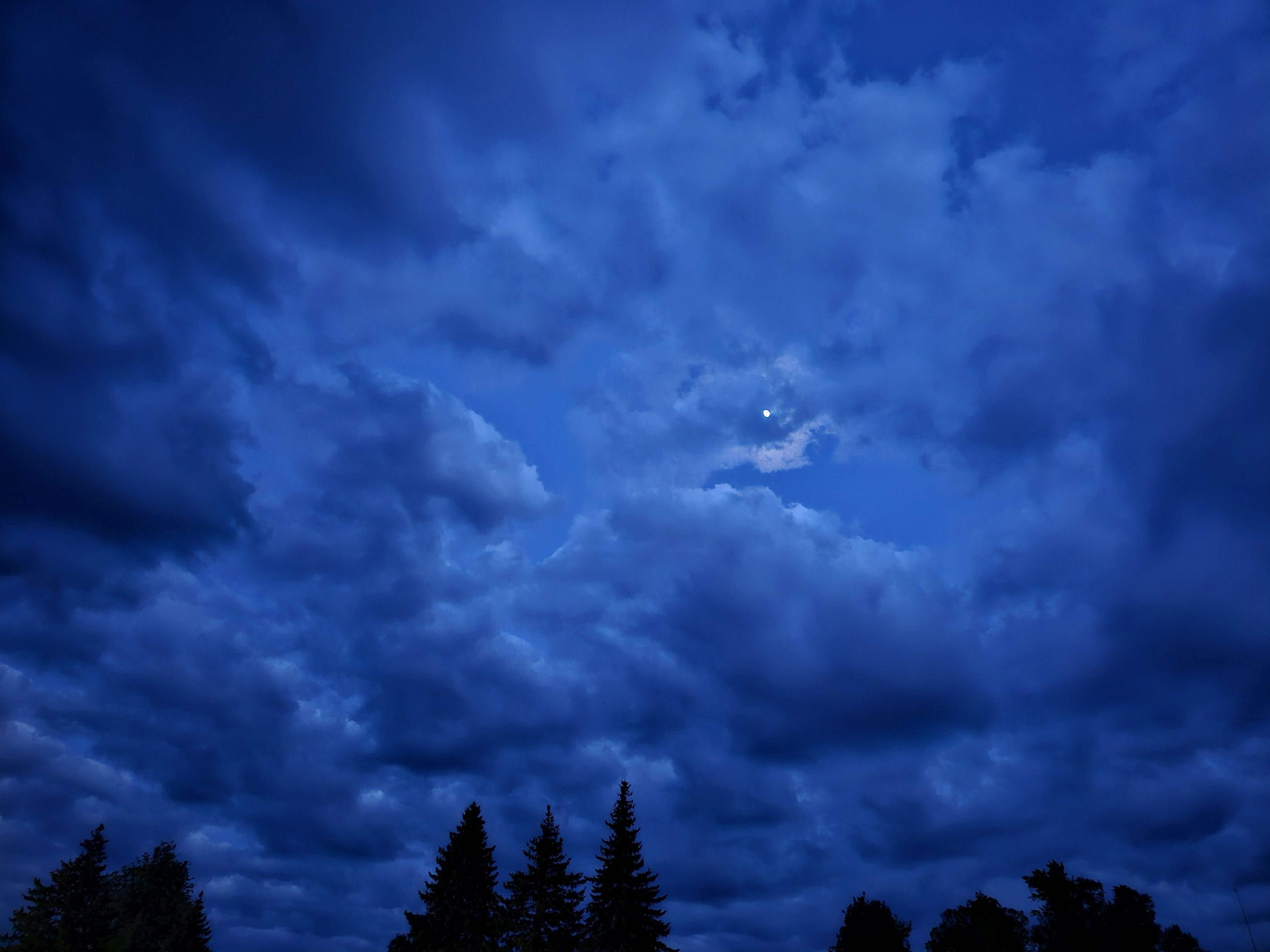 , Мария Яковлева