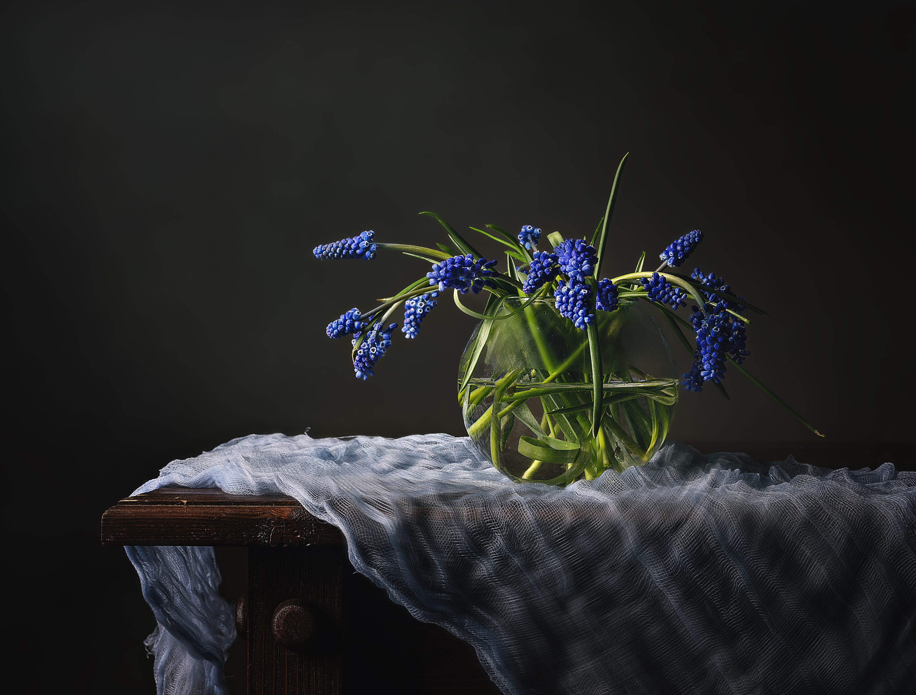 , Александра