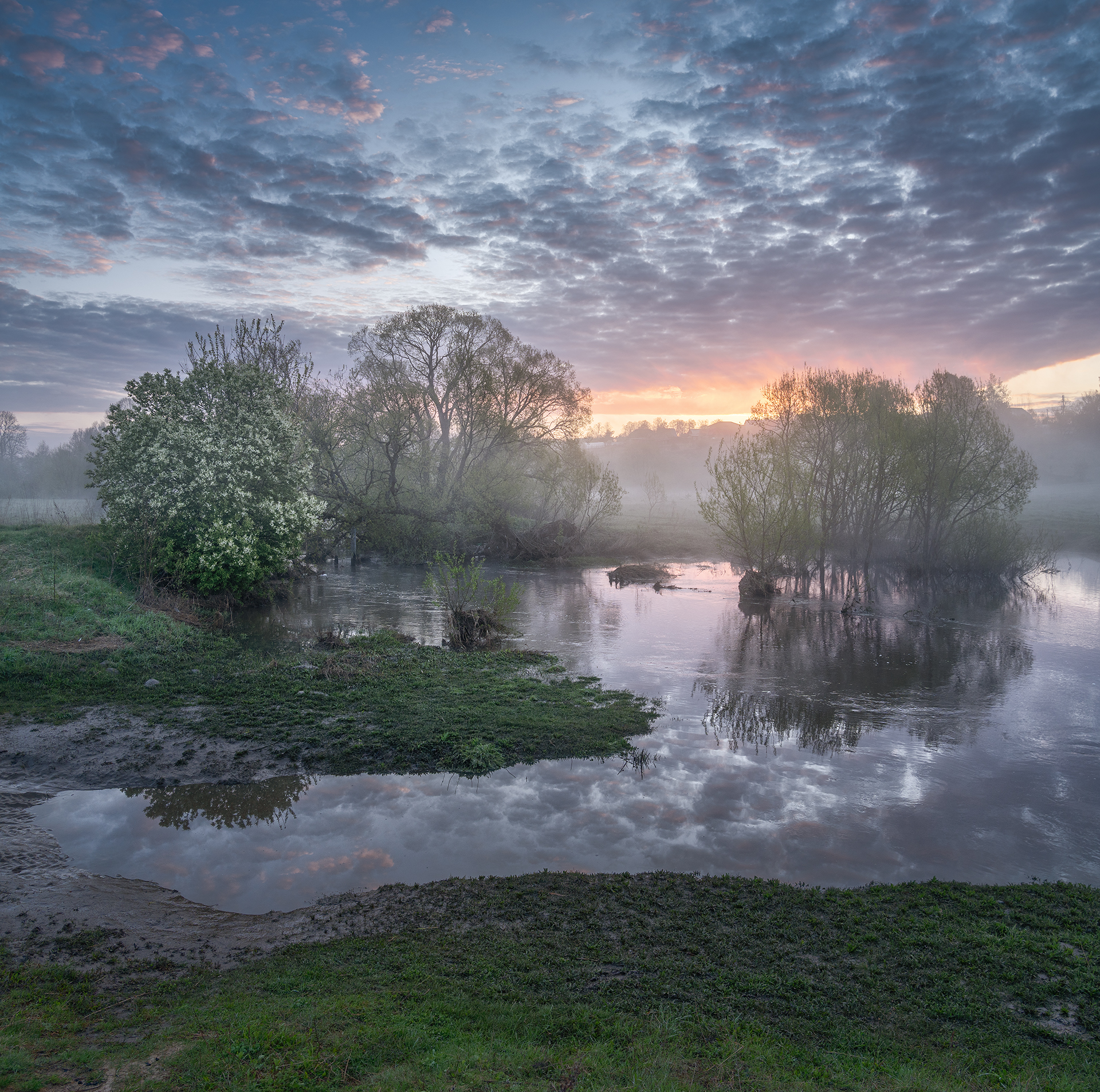, Андреев Николай