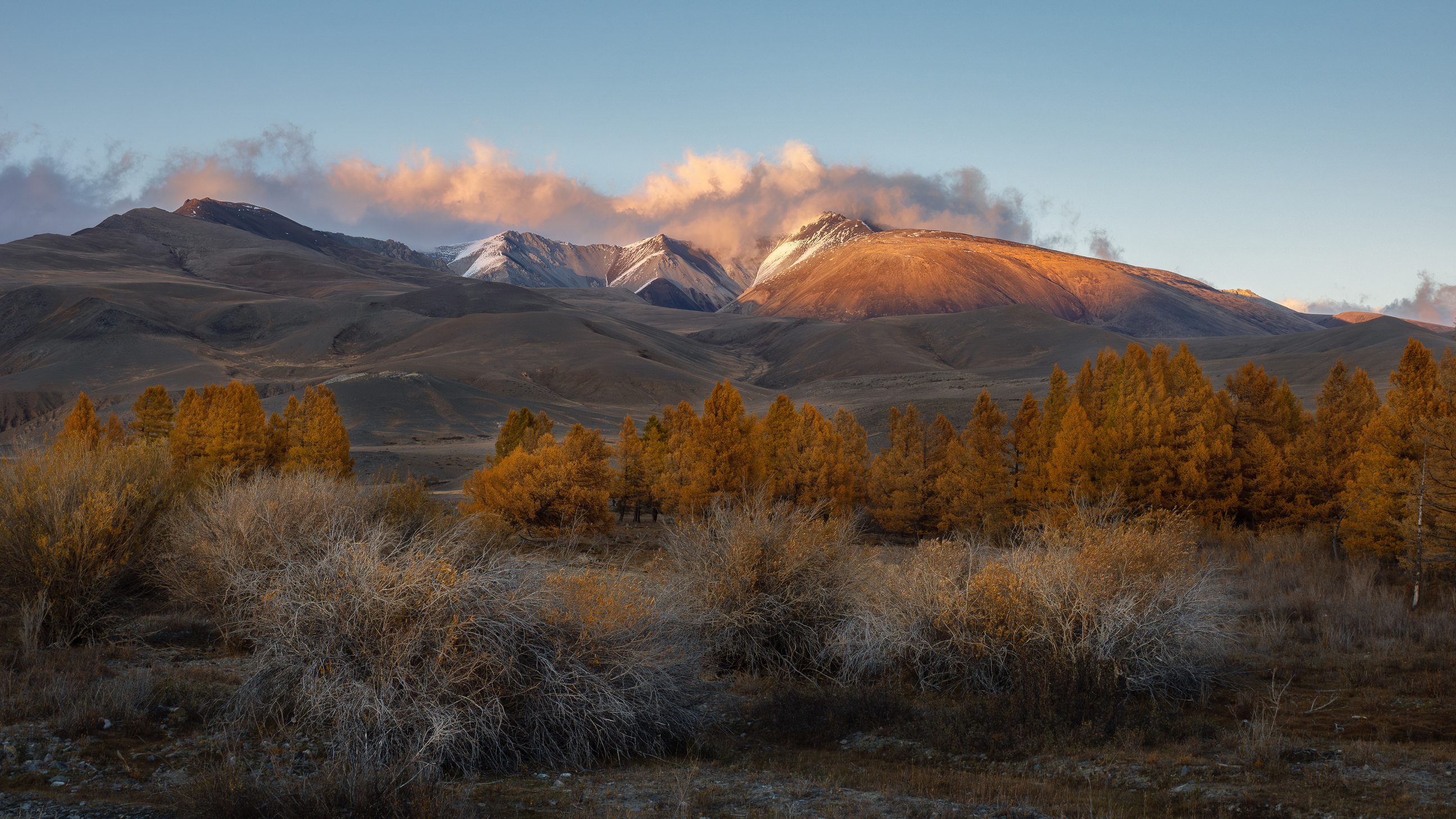 , Мозжухин Максим