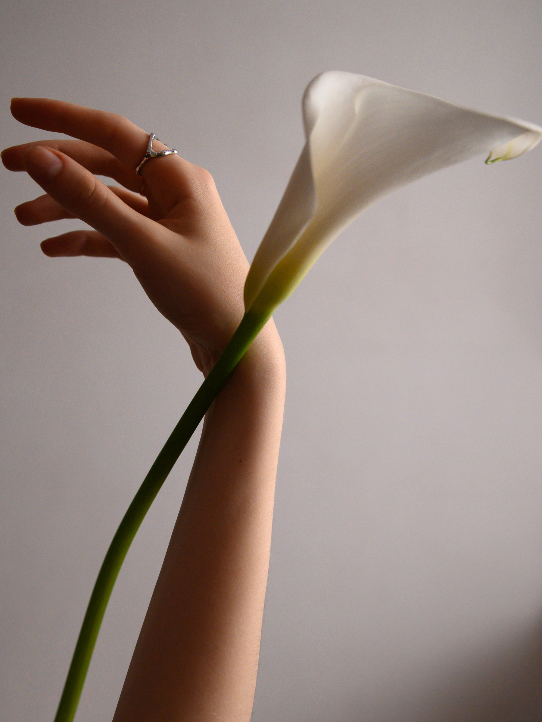 , Евгений Линев