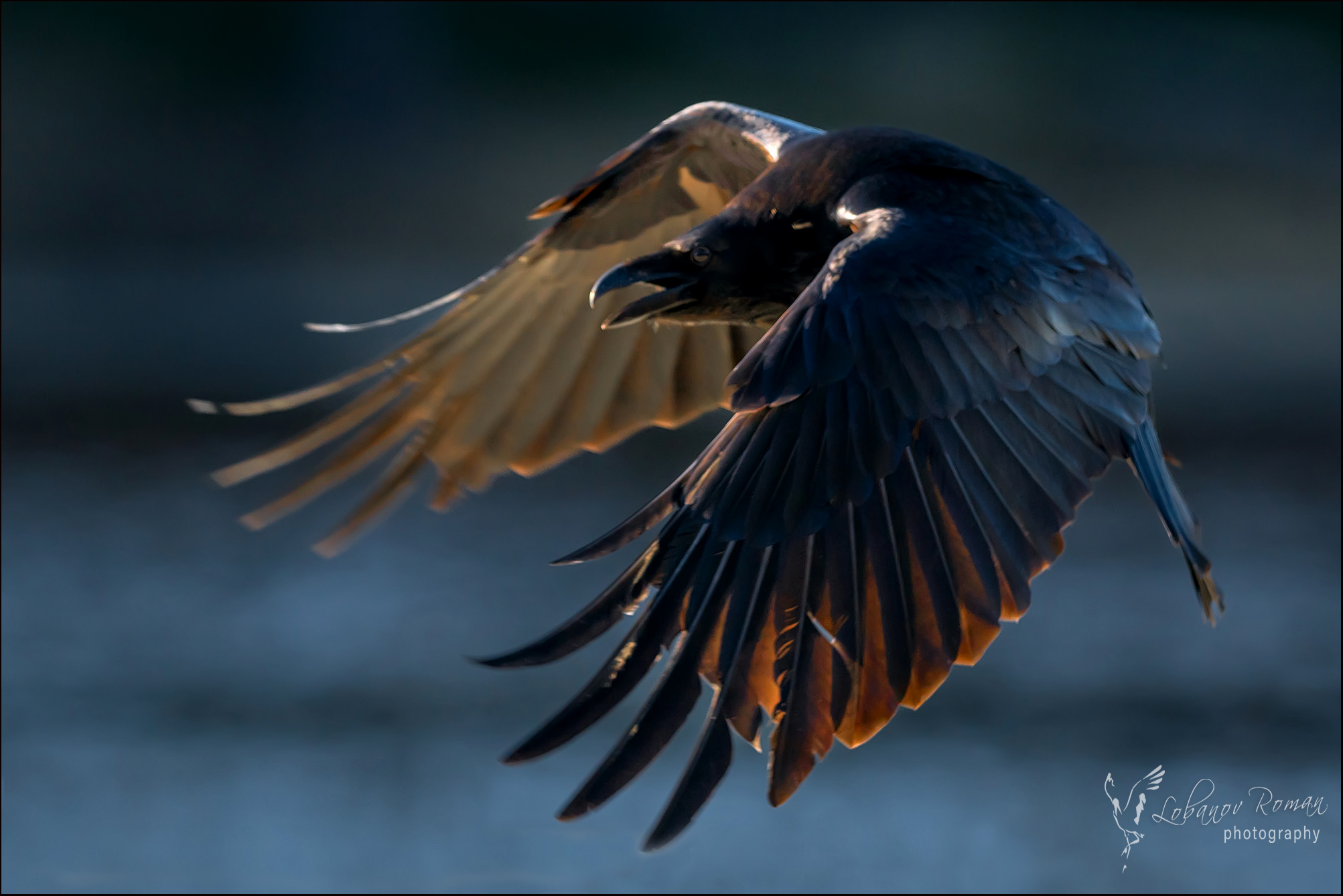 , Лобанов Роман