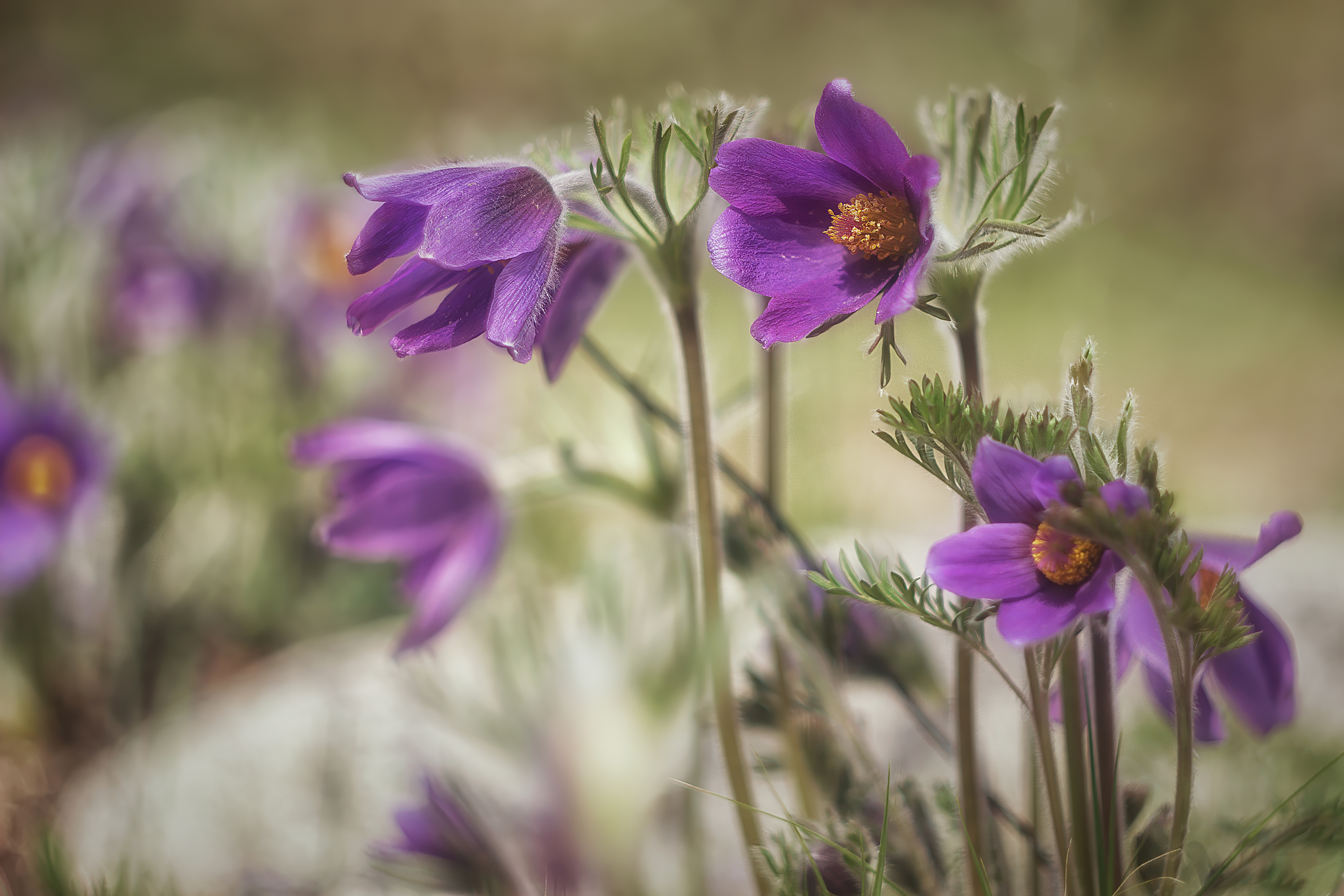 , Юдинских Марина