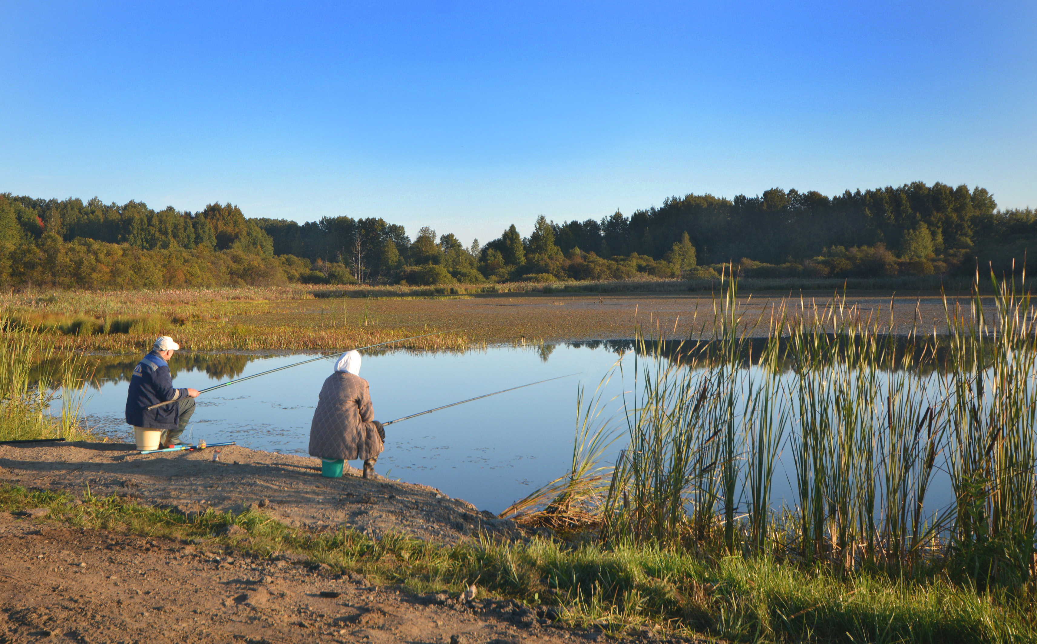 мы, с, тамарой, всюду, парой, ), Белоусов Михаил