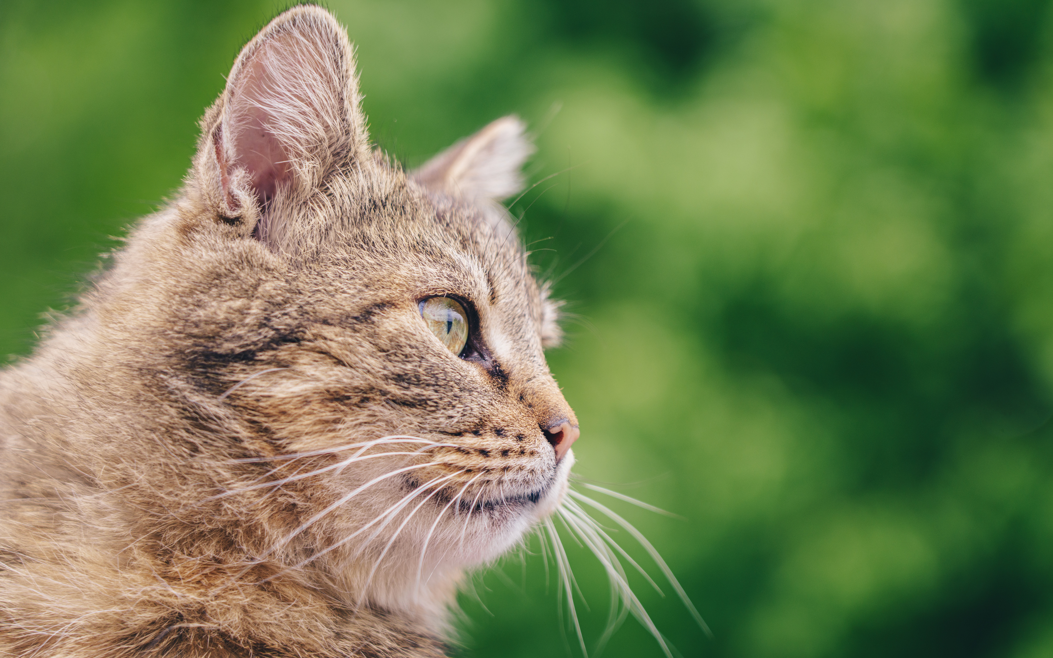 , Вертиков Юрий