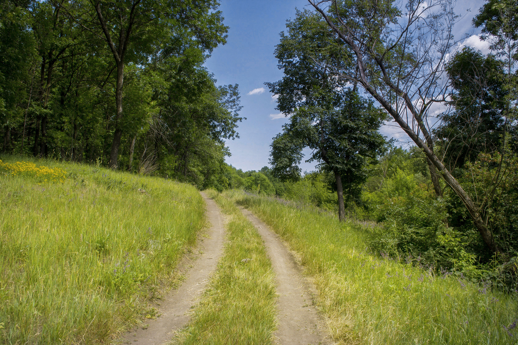 , Лысенко Сергей