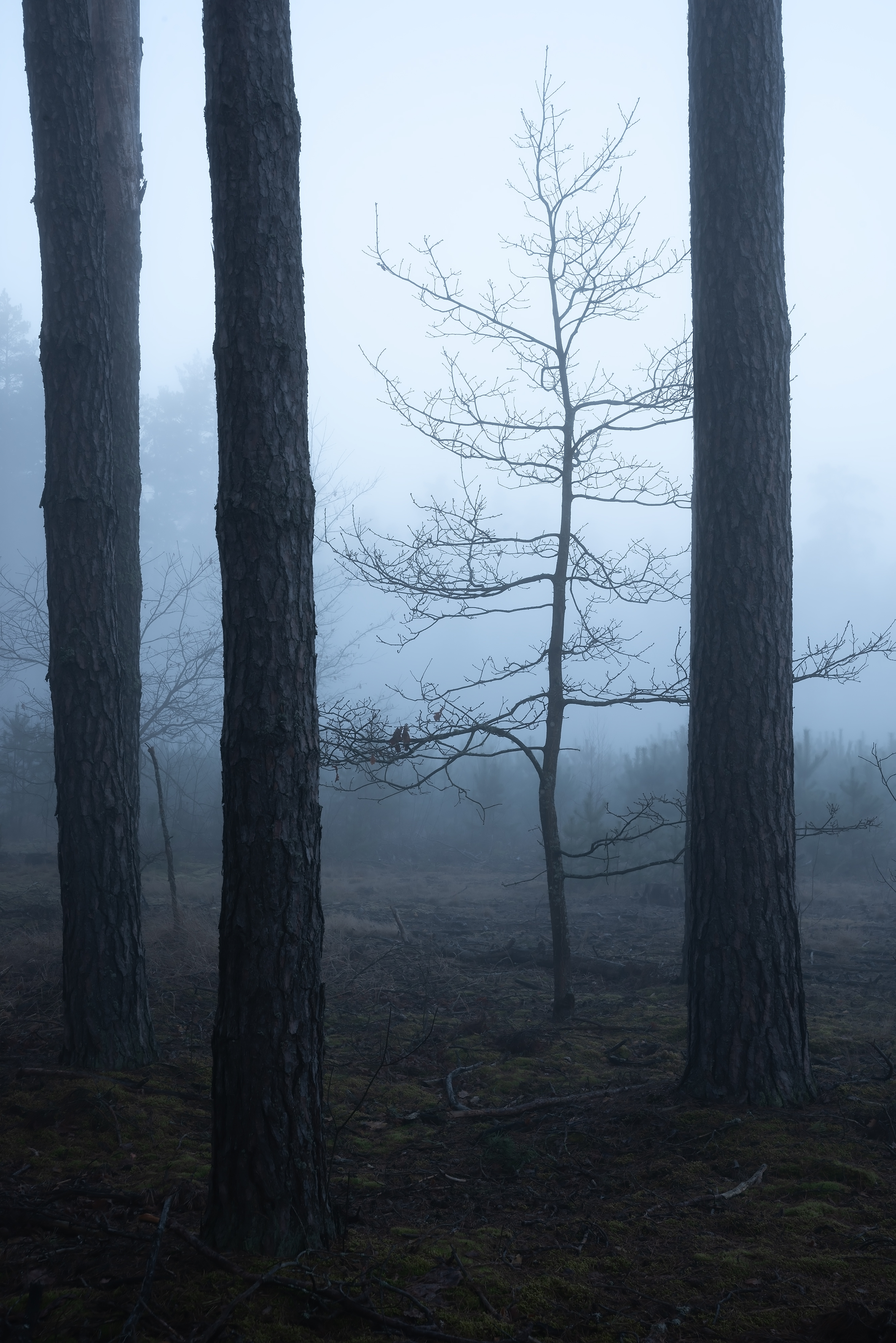 , Захаров Дмитрий