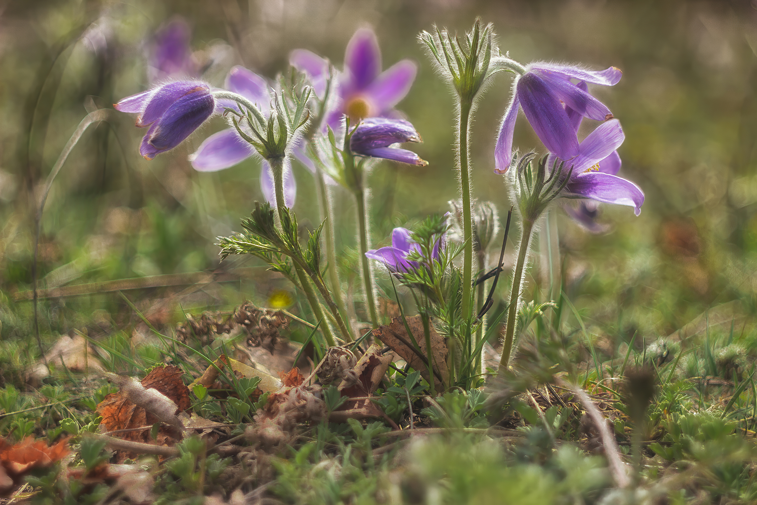 , Юдинских Марина