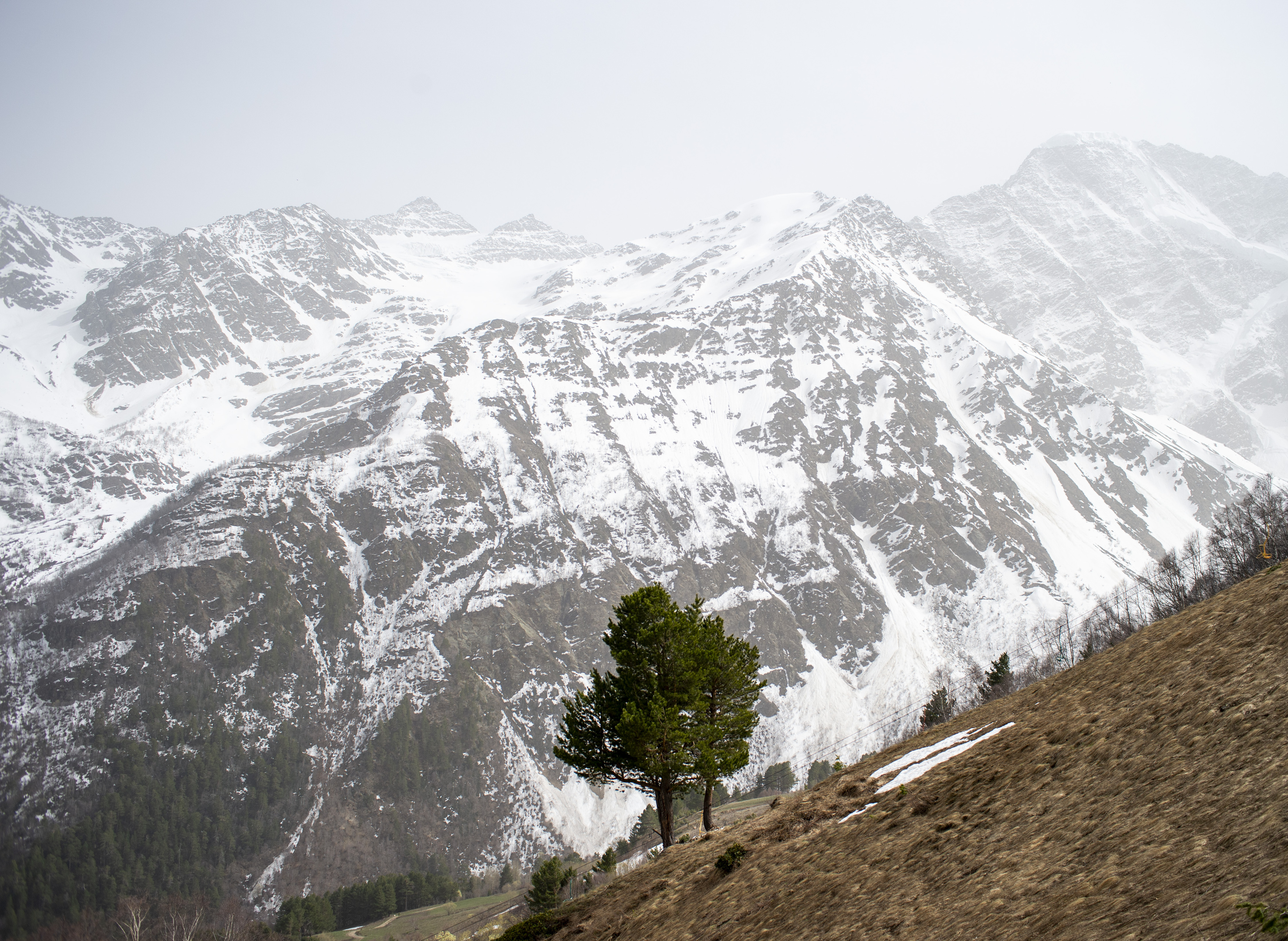 , Дмитрий Демидов