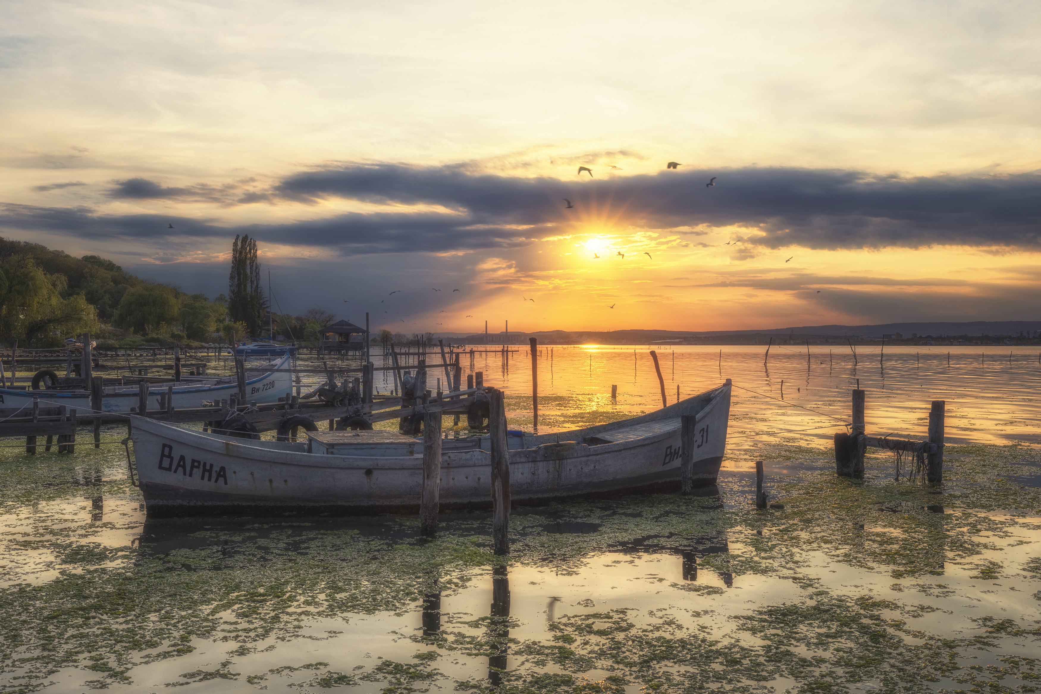 , Маджаров Костадин