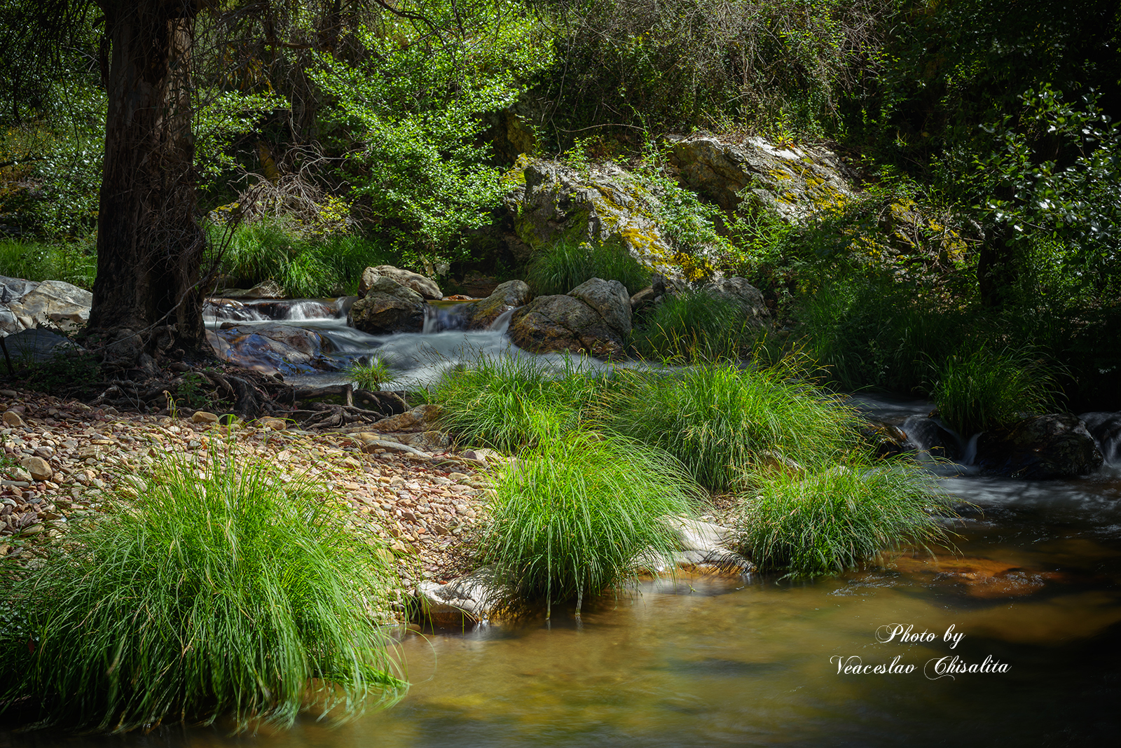 #природа #горныйручей #живописно #горы #поход #летовгорах #пейзаж #тишина #свежийвоздух #диканатура #поток #зелень #вода #горнаярека #природнаямагия #nature #mountainstream #greenescape #hikingadventures #naturevibes #wildwater #earthmood #sereneviews #la, Veaceslav Chisalita