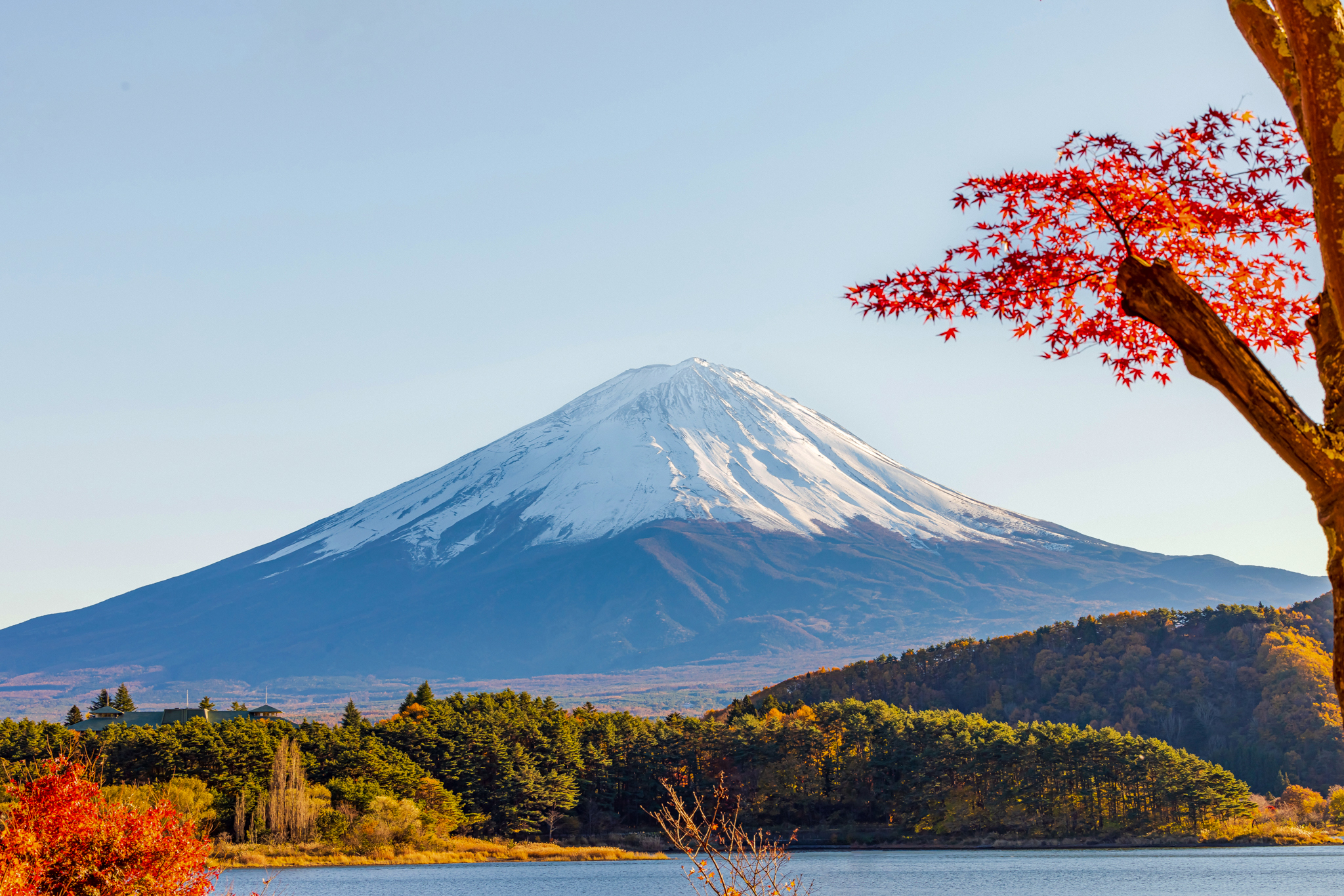 #nguyễn hùng quân#, Quan Hung