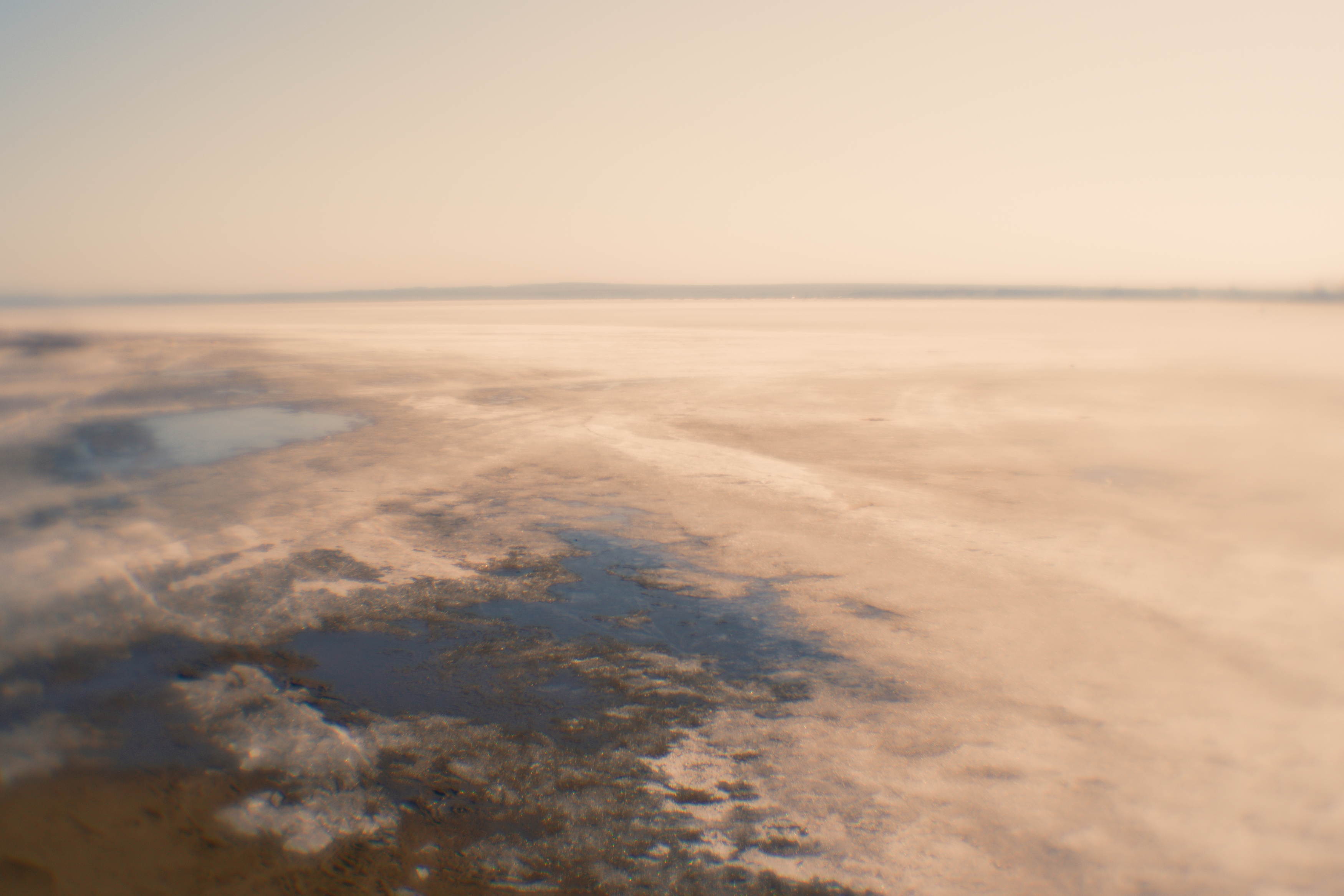 ***, Таня Смолевская