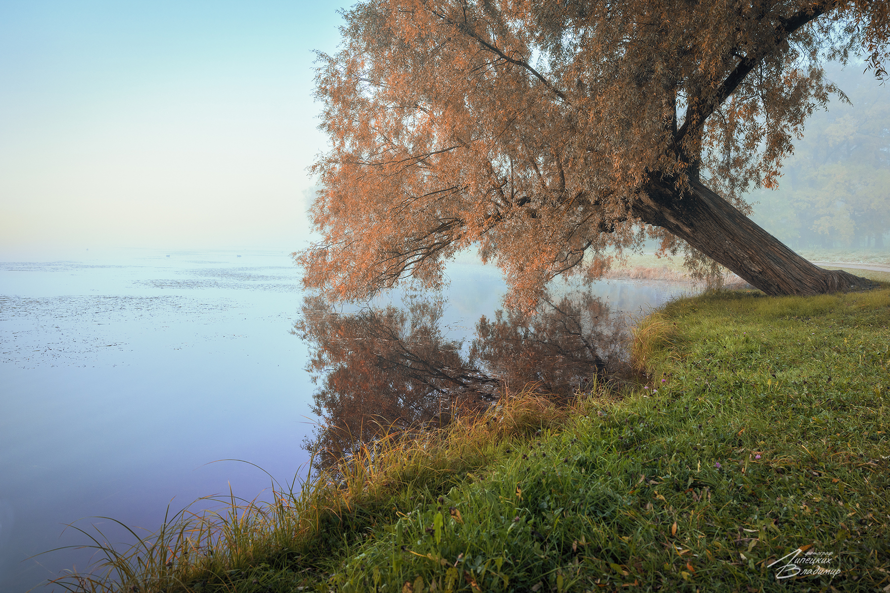 санкт-петербург, екатерининский парк, осень, большой пруд, Липецких Владимир