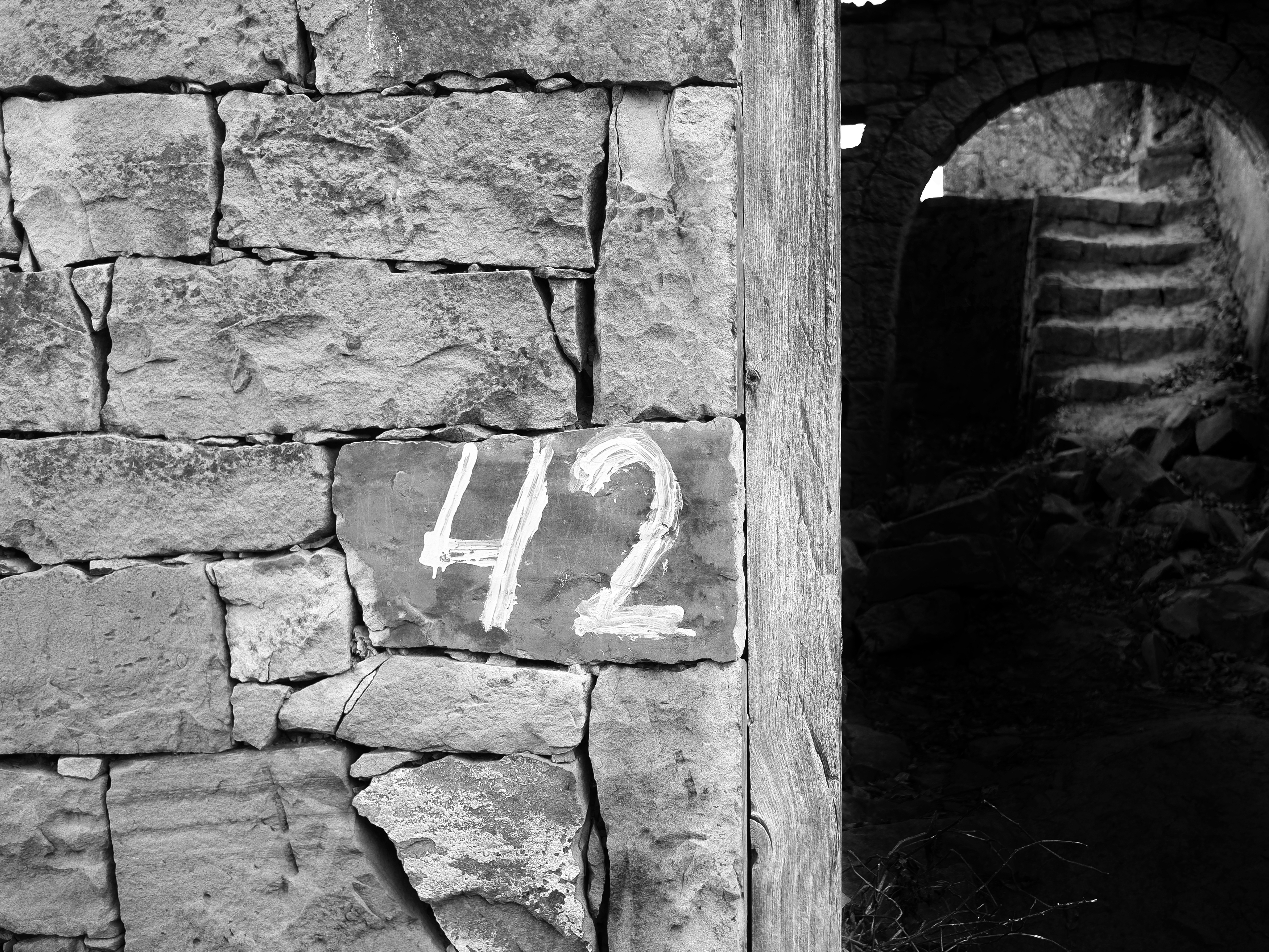 42, ответ, вопрос, тьма, Зорин Миша