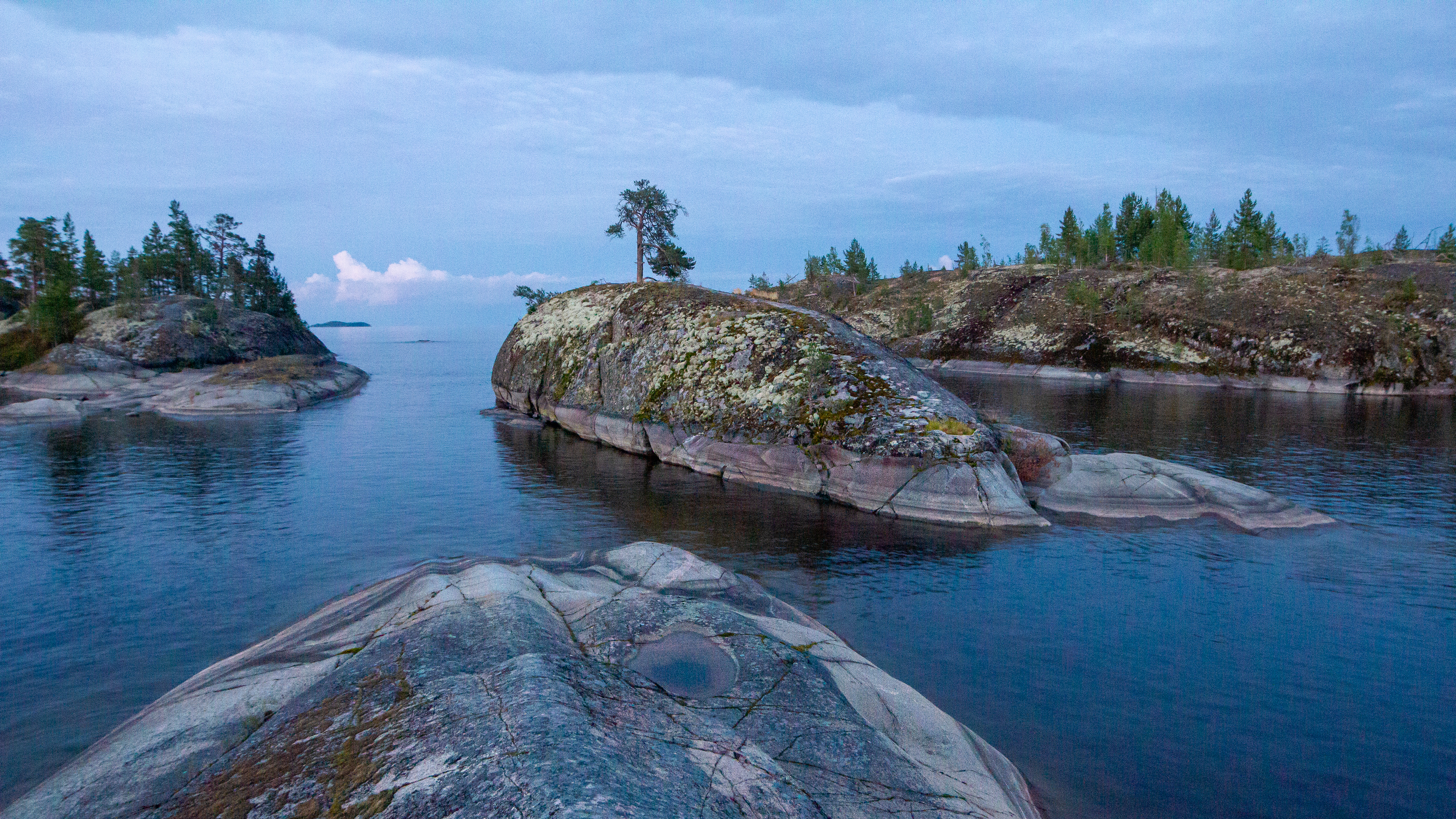 , Комарова Вера