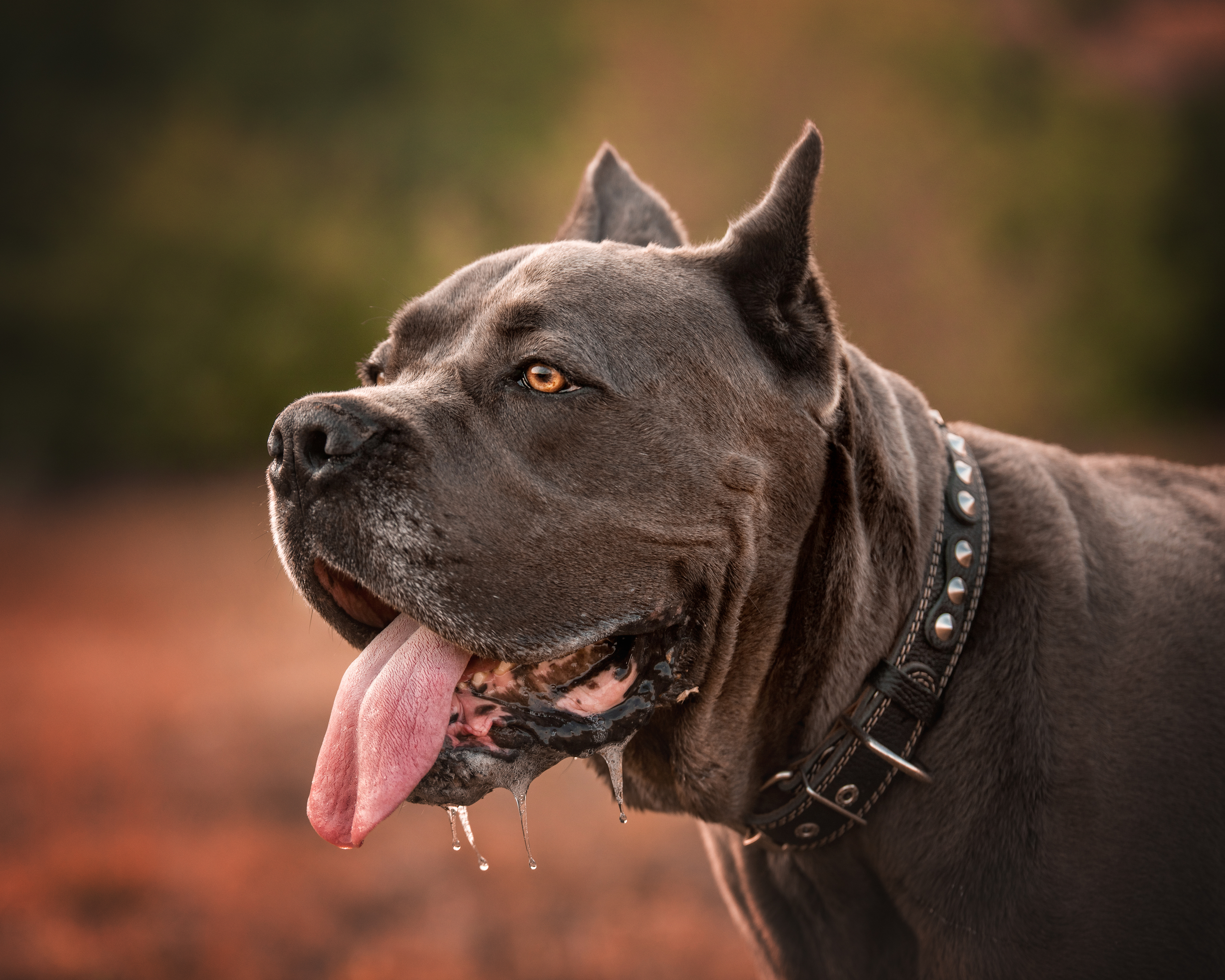 , Юлианна Митрофанова