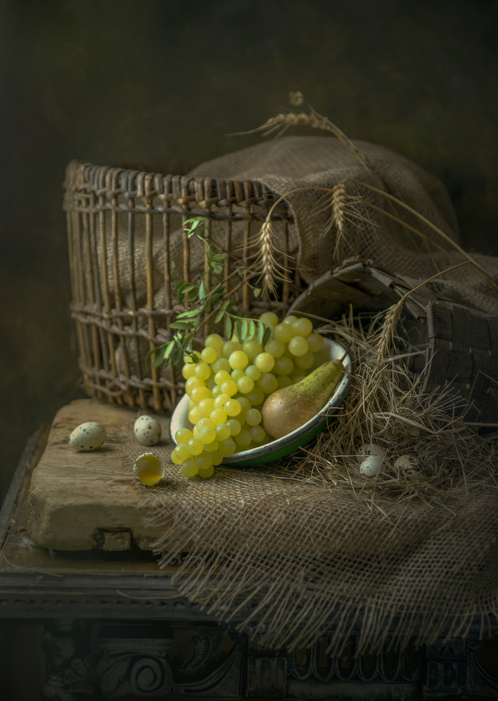 , Сушкевич Светлана