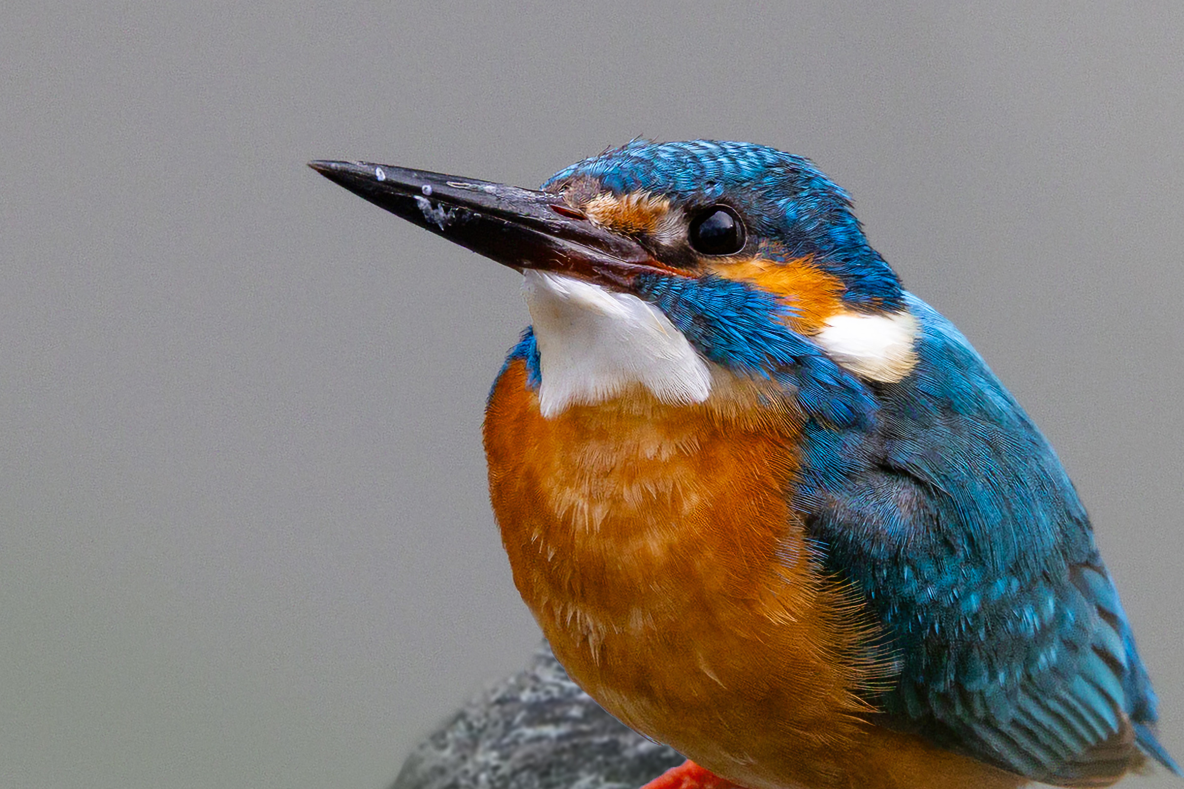 , Поляков Алексей