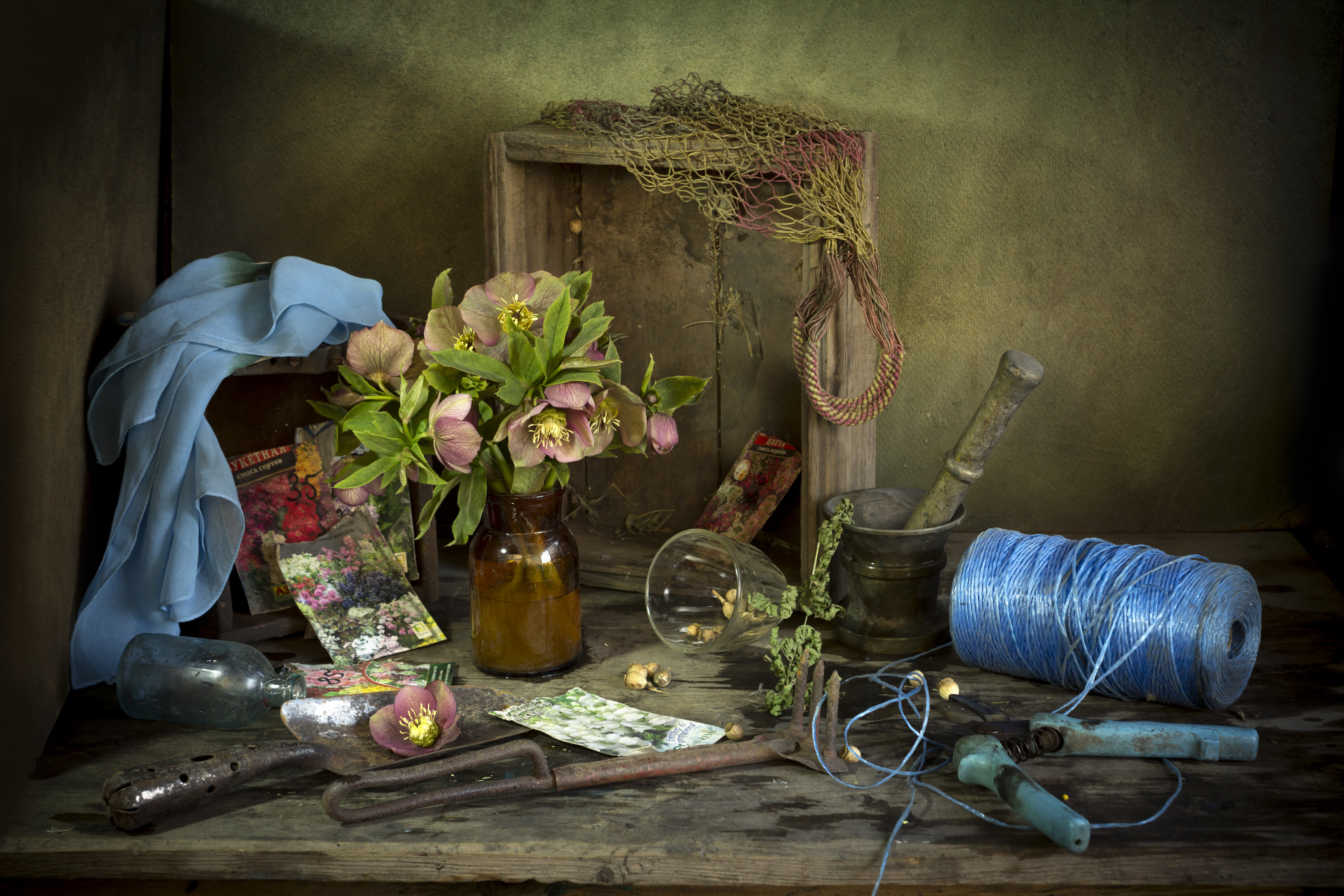 весна, садовые принадлежности, морозник, секатор, Зимина Лионелла