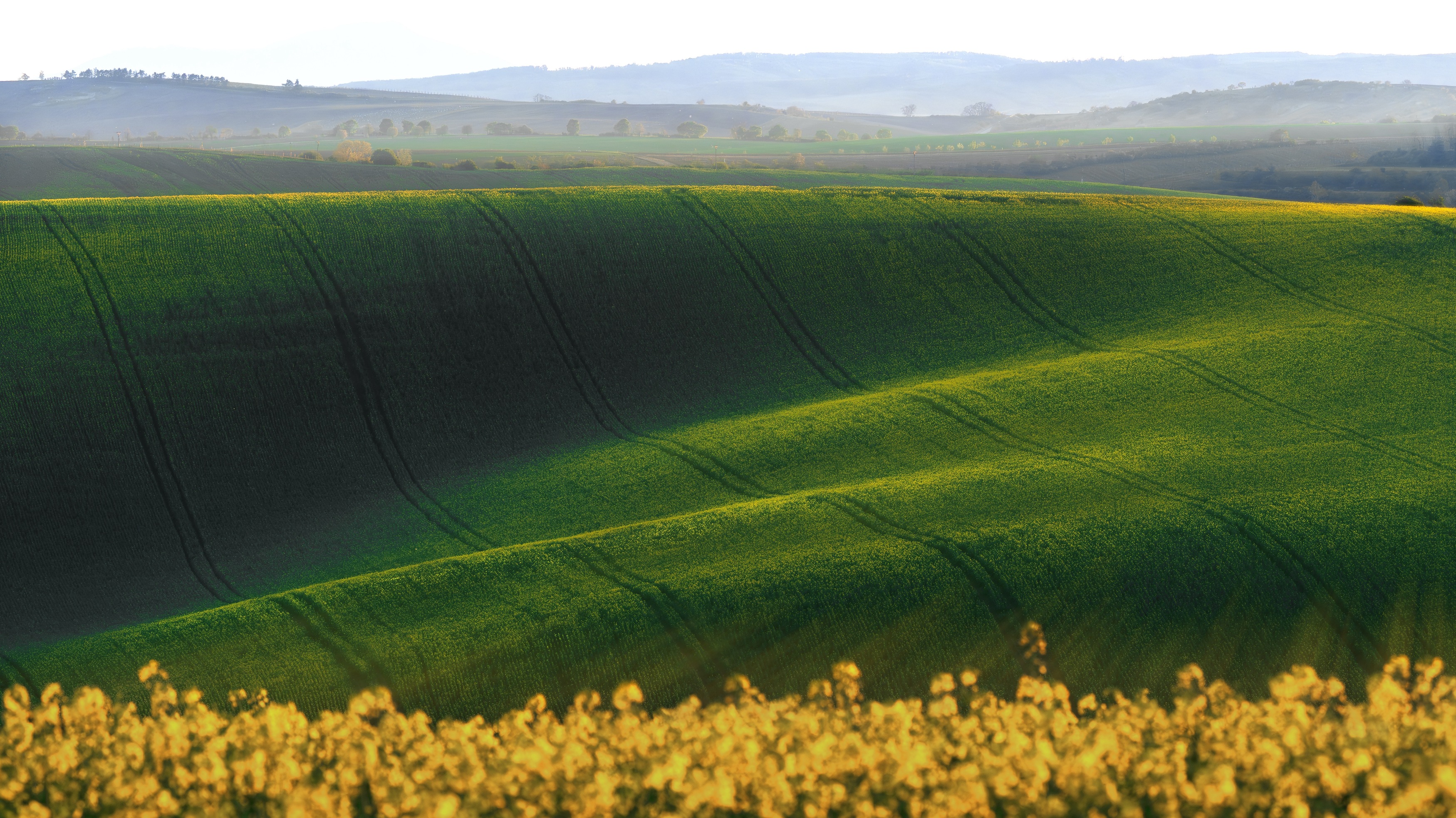 , Шимаковский Юрий