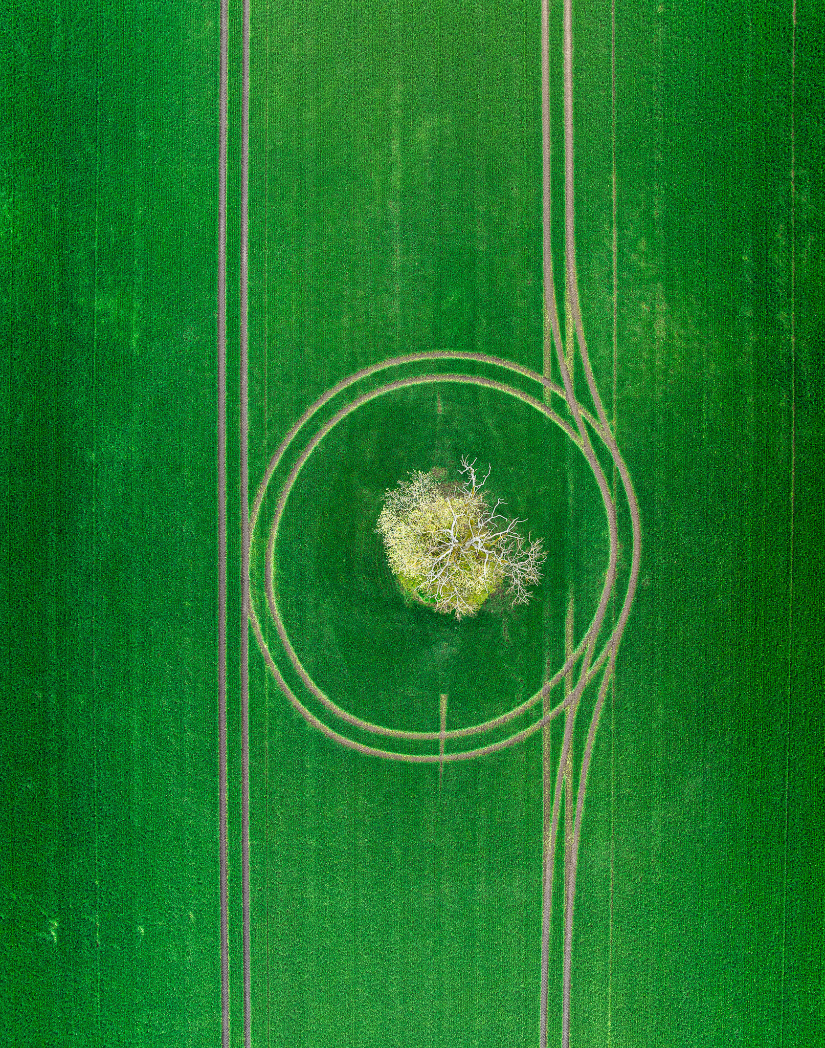 , Гордон Николай