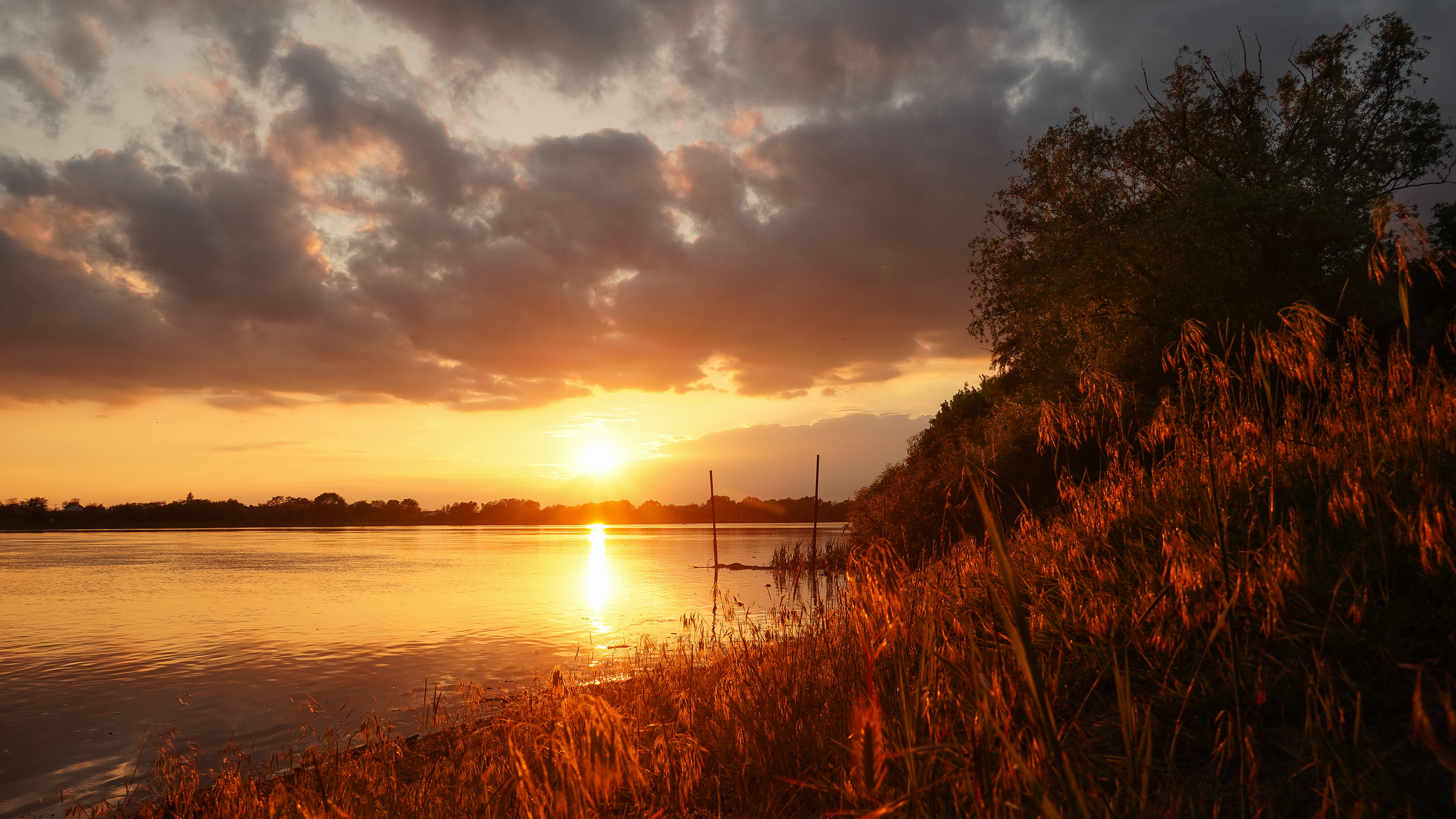 , Вадим Коваленко