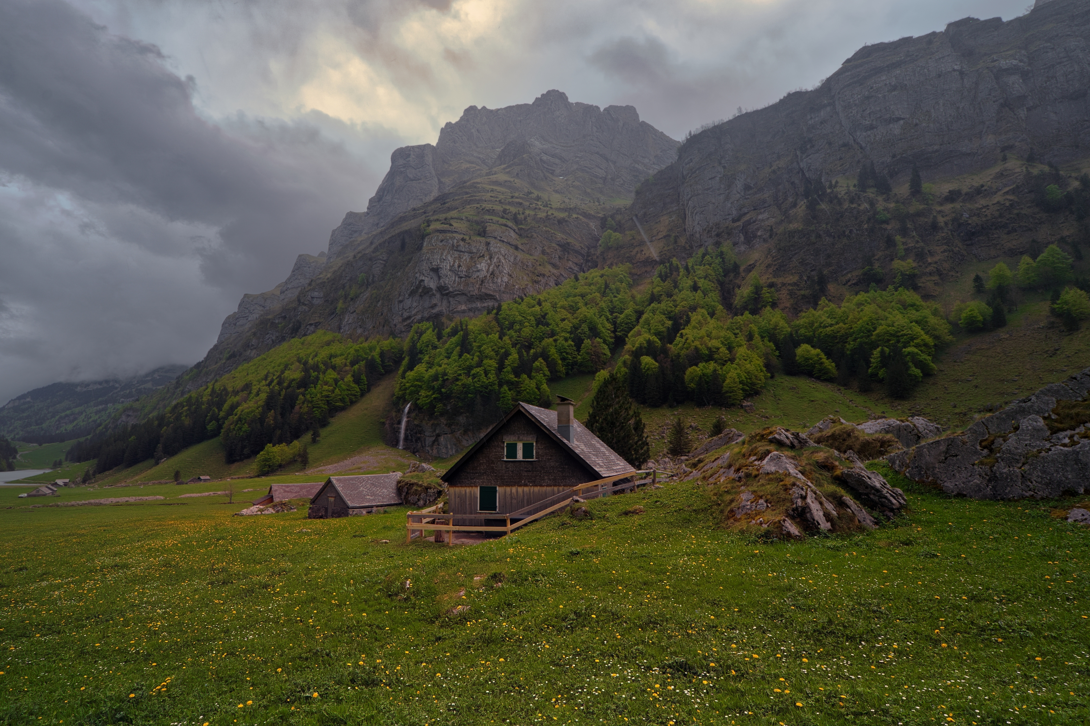 swiss.альпы, VIktor