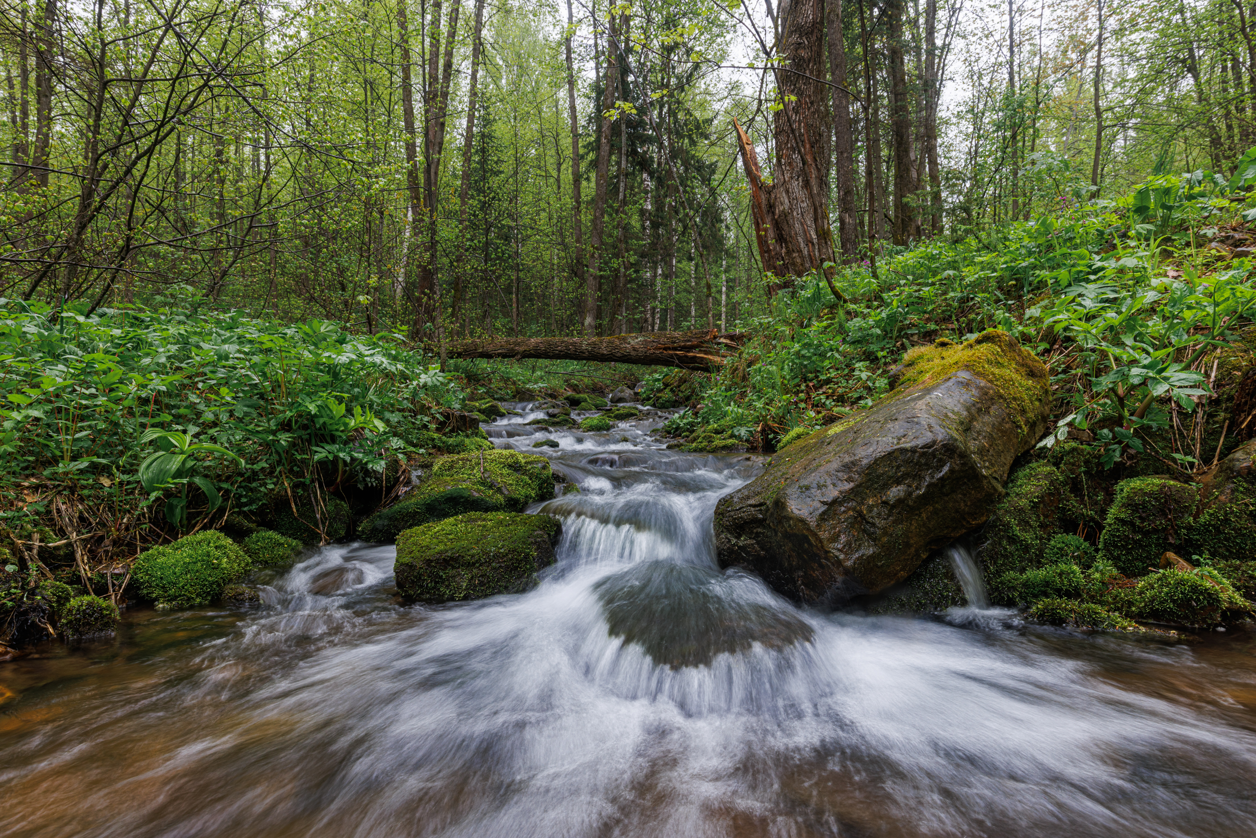 , Гильманов Артур
