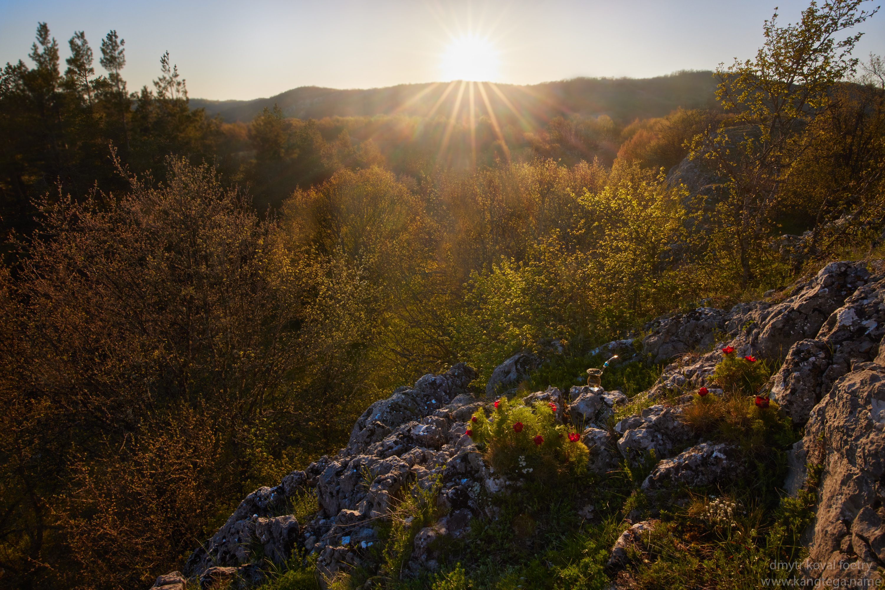 пейзажемагьё, пейзаж-как-виденье, Коваль Дмитр