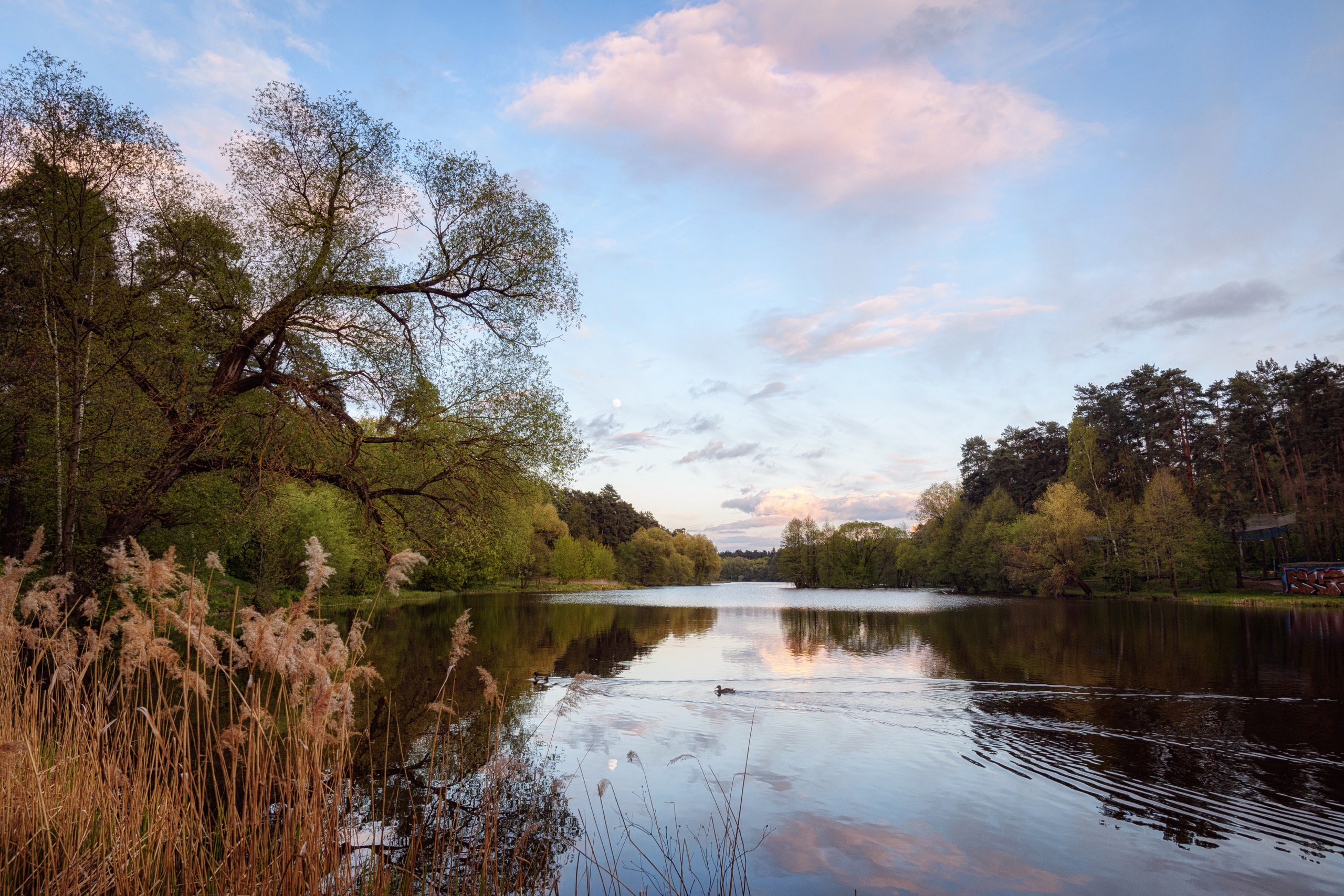озеро, вечер, луна, отражение, Сергей Студнев