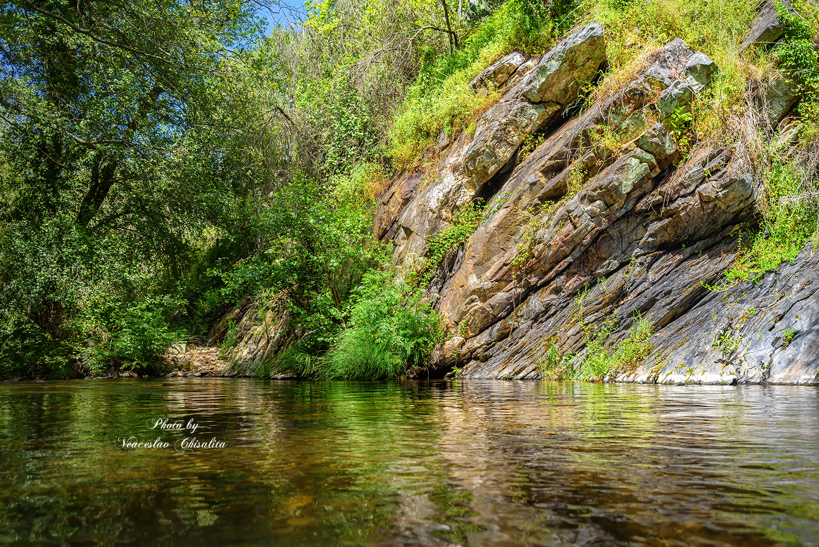 #природа #горныйручей #живописно #горы #поход #летовгорах #пейзаж #тишина #свежийвоздух #диканатура #поток #зелень #вода #горнаярека #природнаямагия #nature #mountainstream #greenescape #hikingadventures #naturevibes #wildwater #earthmood #sereneviews #la, Veaceslav Chisalita