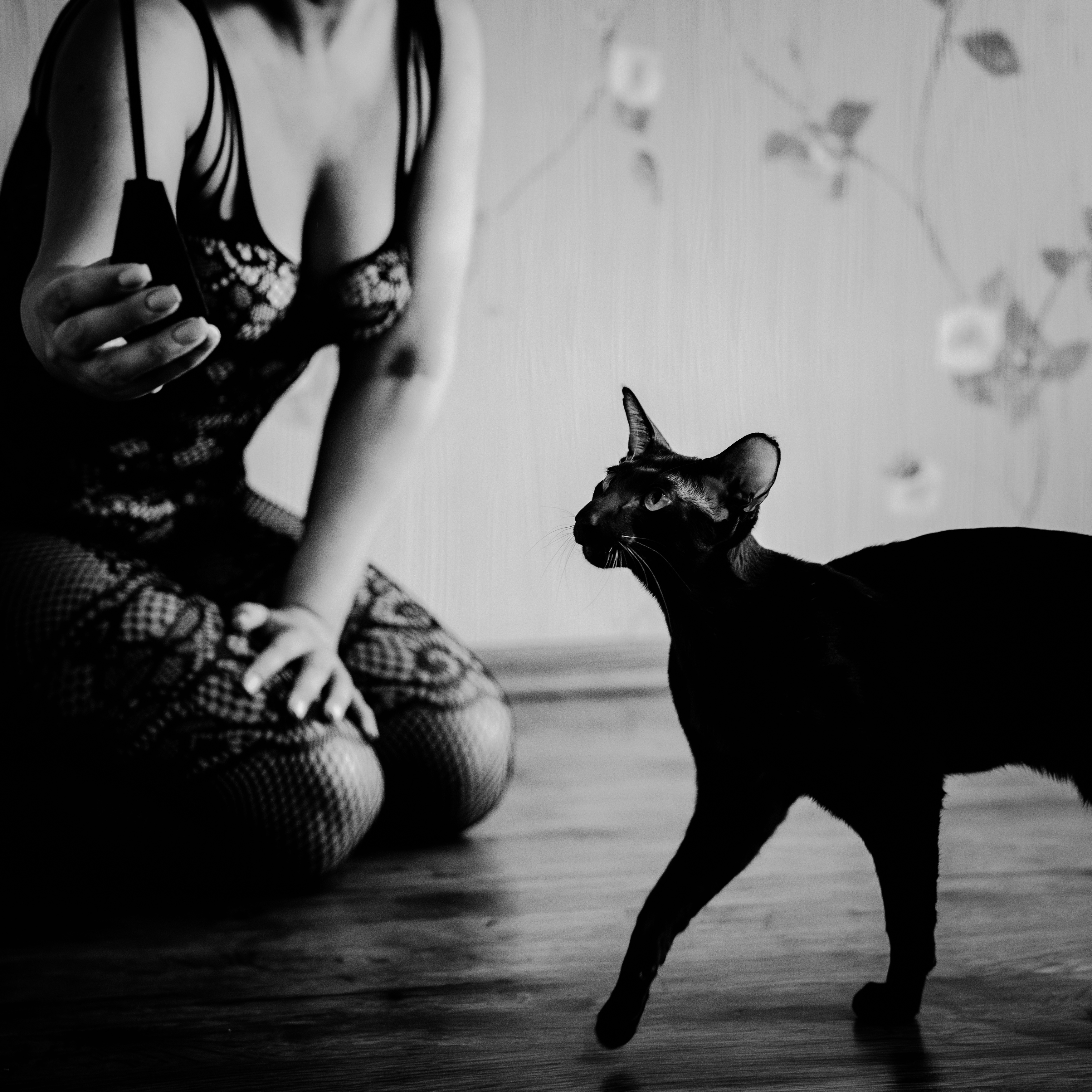 , Вертиков Юрий