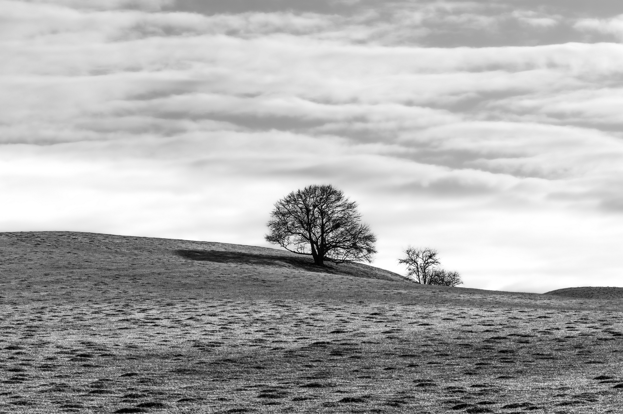 , Валерий Одинцов