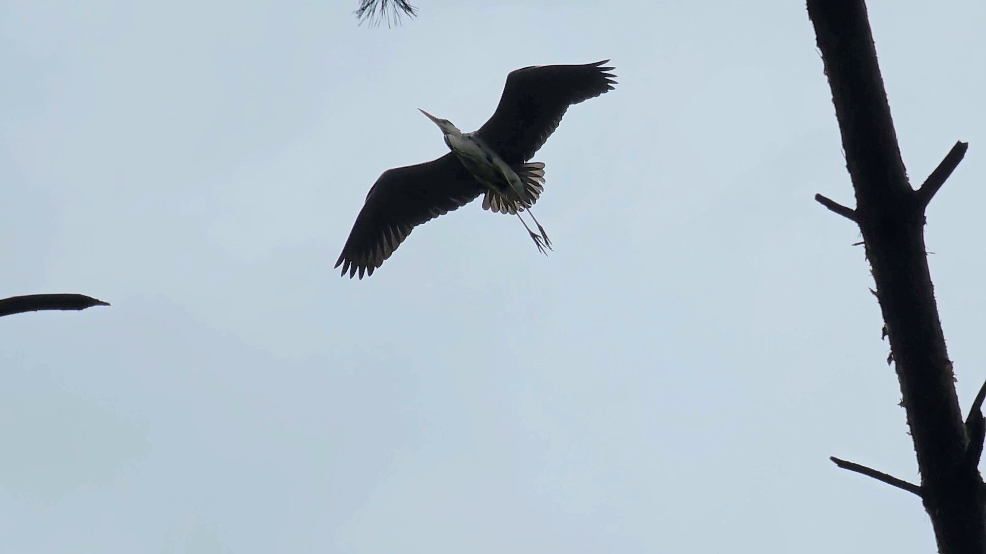 , Мария Яковлева