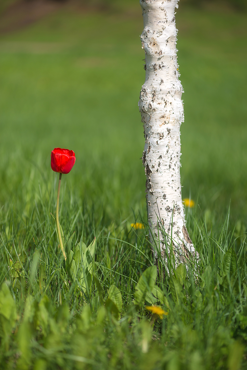 , Наиля Гарифуллина