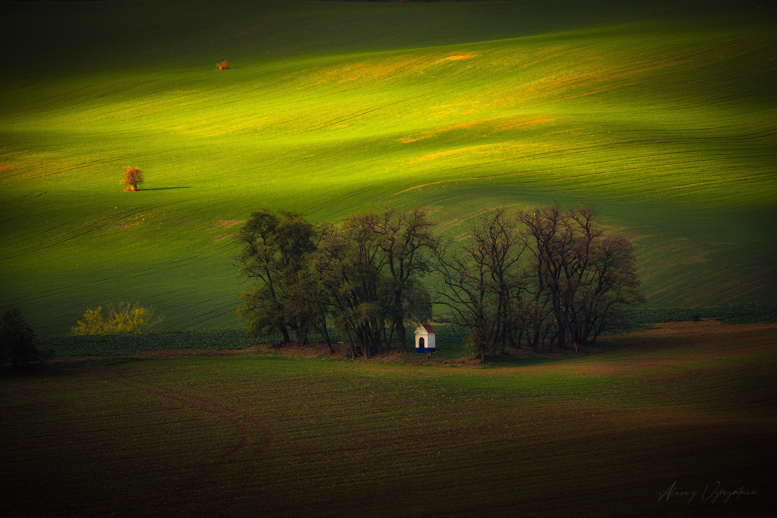 czechia, moravia, moravian, landscape, fields, green, hills, rollinghills, countryside, farmland, nature, scenic, sunlit, europe, rural, agriculture, spring, summer, panoramic, peaceful, tranquil, scenicview, Алексей Вымятнин